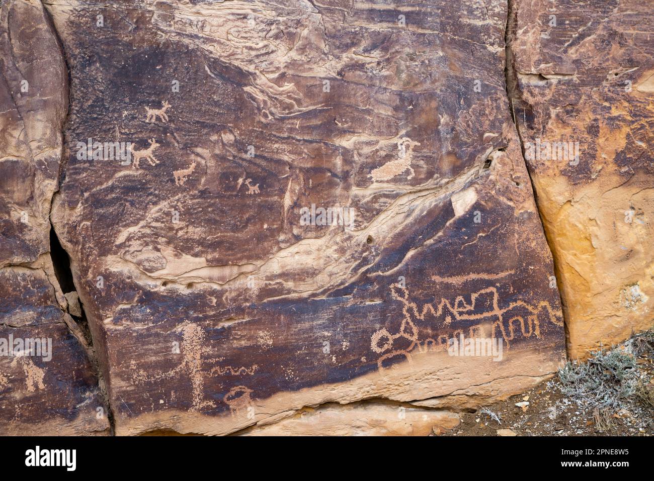 Petroglyph vicino al Big Buffalo Panel, un antico petroglifo dei nativi americani, nel Nine Mile Canyon, Carbon County, vicino a Price, Utah, USA. Foto Stock