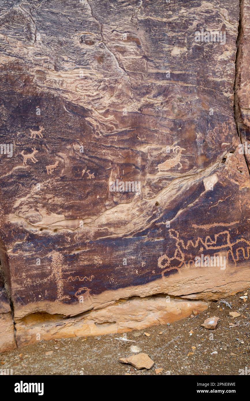 Petroglyph vicino al Big Buffalo Panel, un antico petroglifo dei nativi americani, nel Nine Mile Canyon, Carbon County, vicino a Price, Utah, USA. Foto Stock