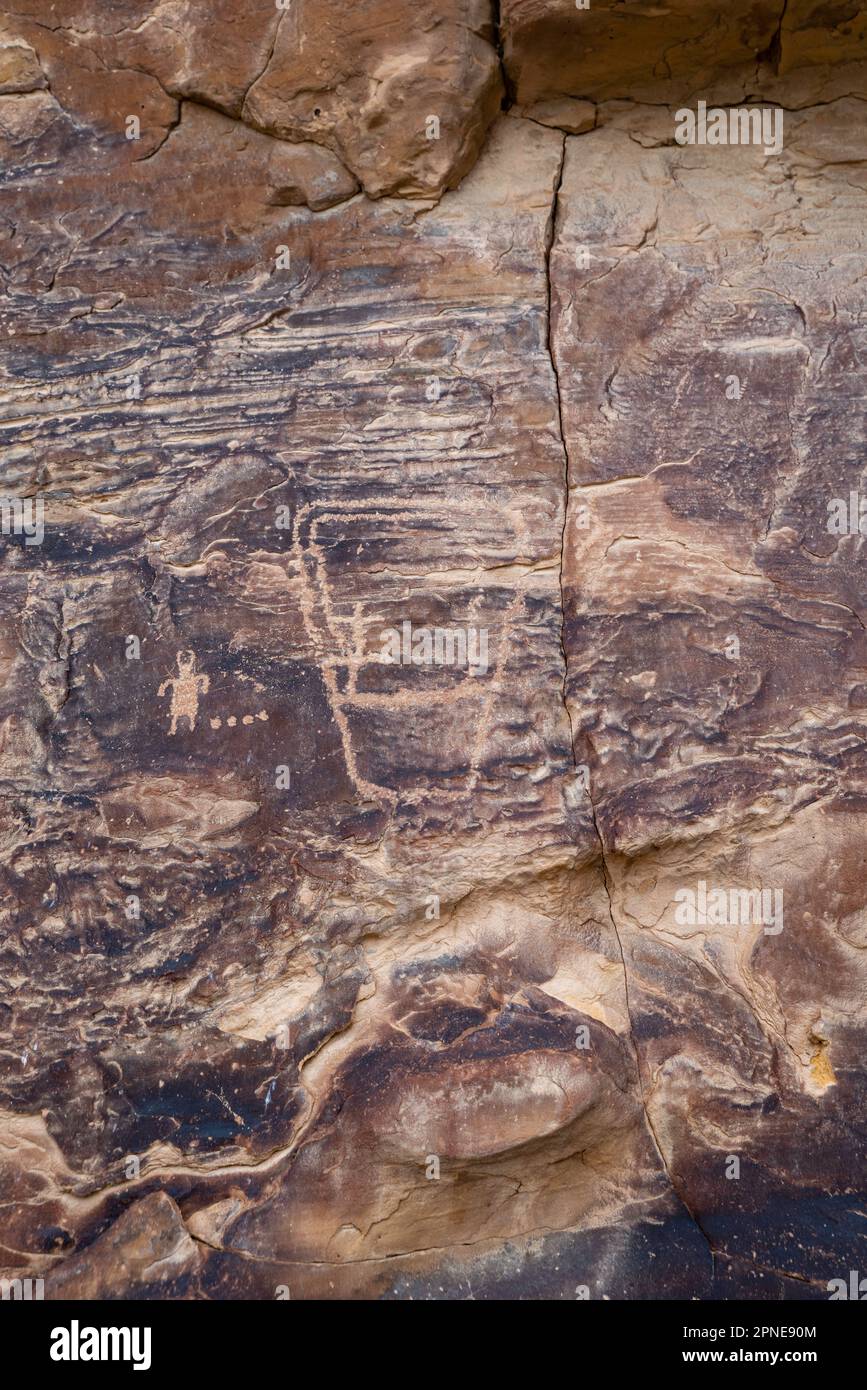 Petroglyph vicino al Big Buffalo Panel, un antico petroglifo dei nativi americani, nel Nine Mile Canyon, Carbon County, vicino a Price, Utah, USA. Foto Stock