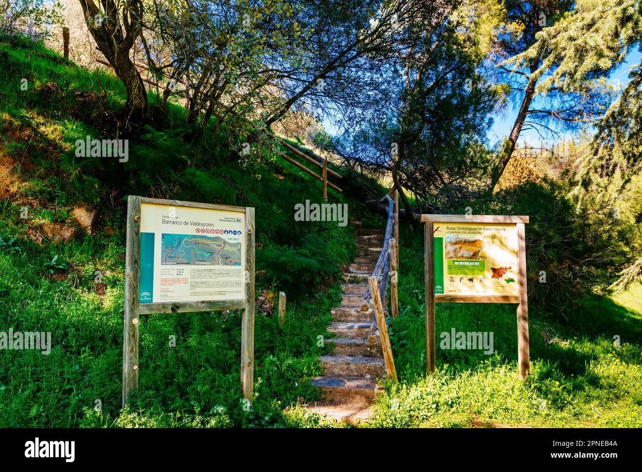 Sentiero segnalato, Barranco de Valdeazores. Passo di montagna di Despeñaperros. Santa Elena, Jaén, Andalucía, Spagna, Europa Foto Stock