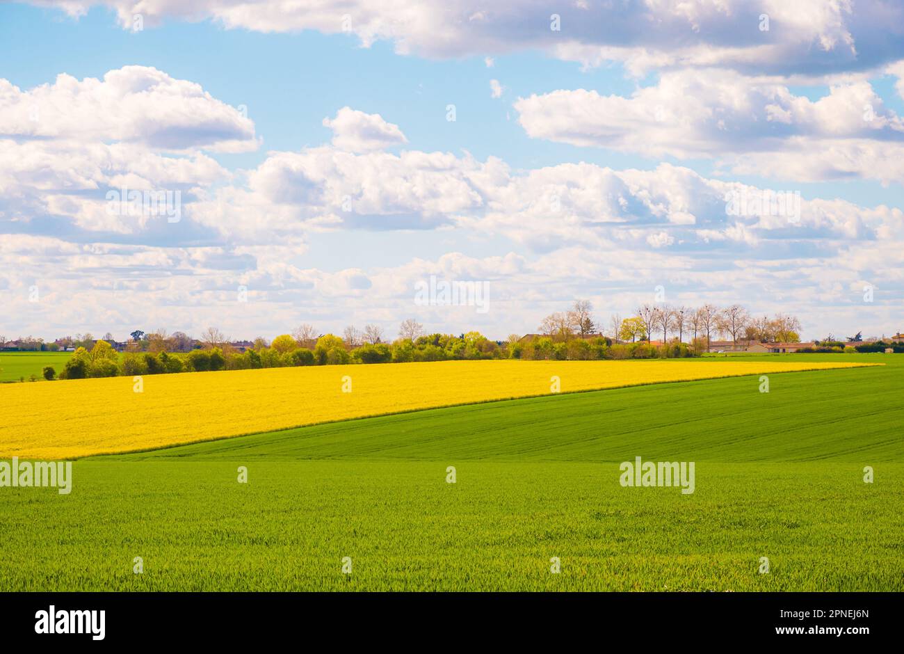 Paesaggio rurale di campi coltivati a Nouvelle-Aquitaine, Francia Foto Stock