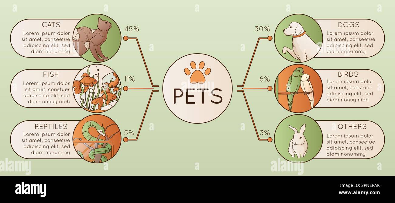 Animali domestici piano infografica orizzontale con informazioni su cani gatti rettili uccelli pesci e altri animali illustrazione vettore Illustrazione Vettoriale