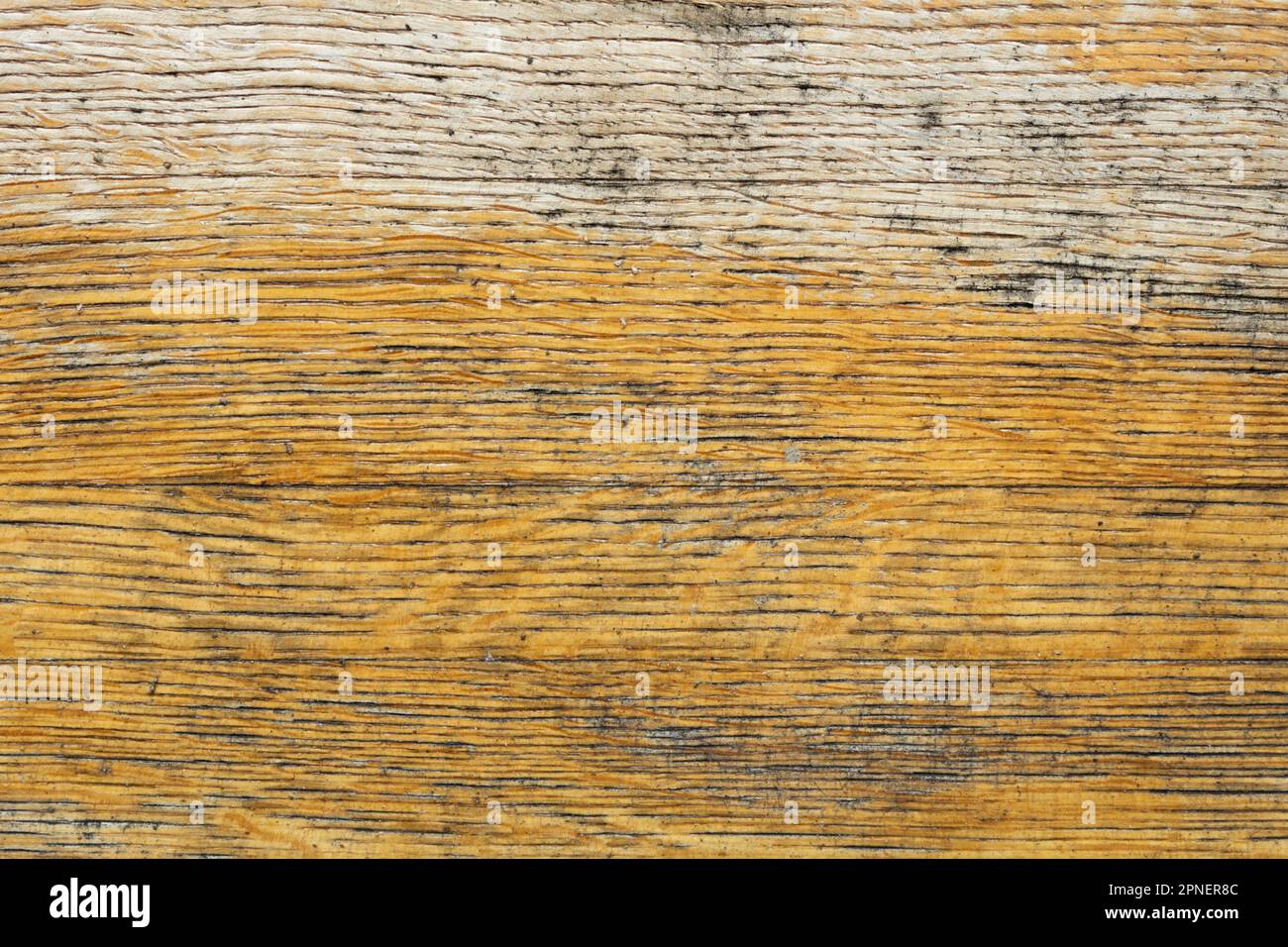 Texture di un vecchio pannello di legno giallo, beige primo piano. Foto Stock