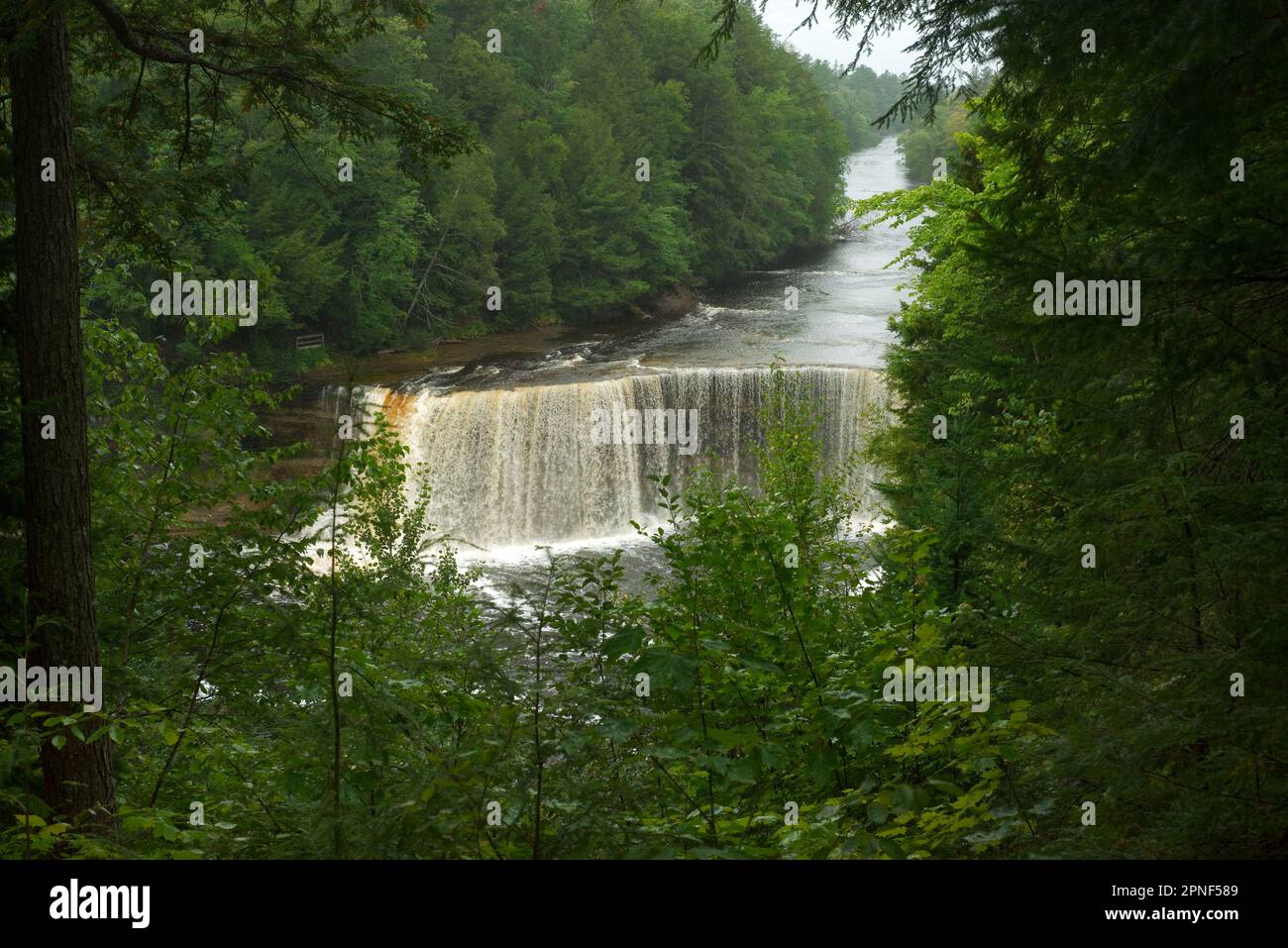 Le cascate superiori del Tahquamenon Falls state Park, nella penisola superiore del Michigan, si stagliano sulla scogliera in mezzo a fitte foreste in una giornata di giornate di pesca Foto Stock