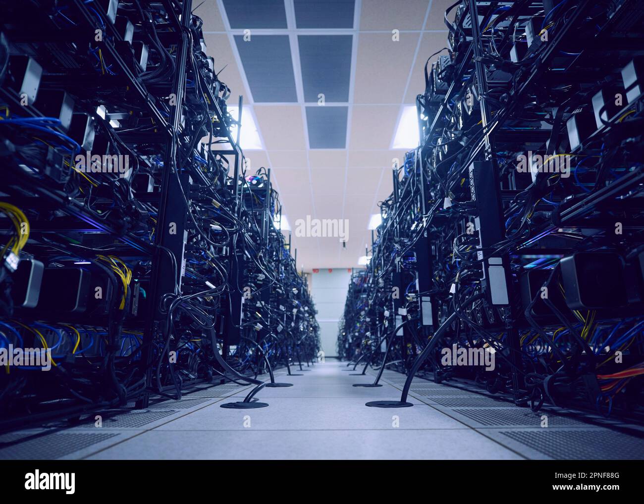 Server e cavi di rete nella sala server Foto Stock