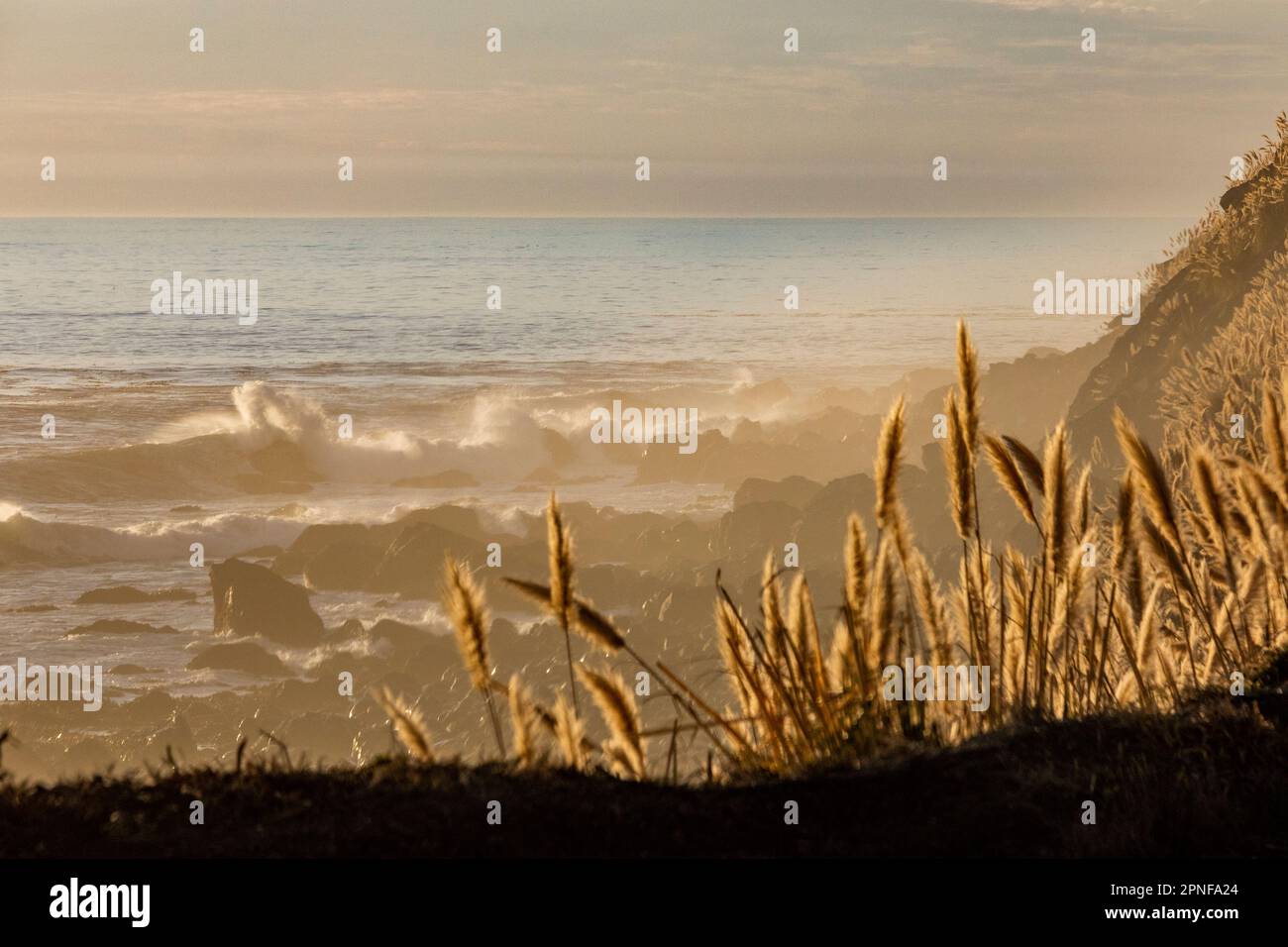 Onde sulla costa di Big sur Foto Stock