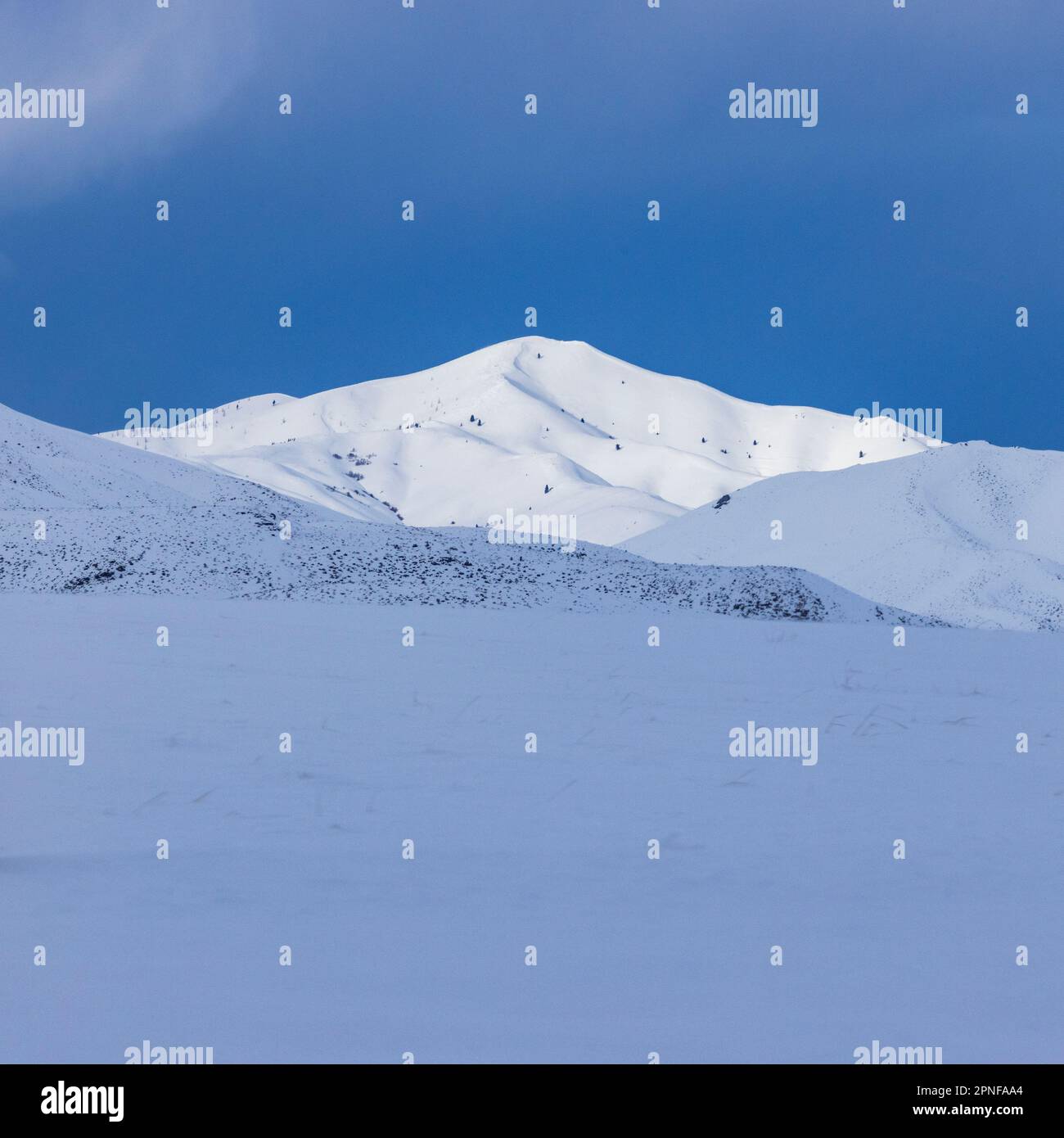 Stati Uniti, Idaho, Fairfield, Snowy montagna paesaggio in inverno Foto Stock