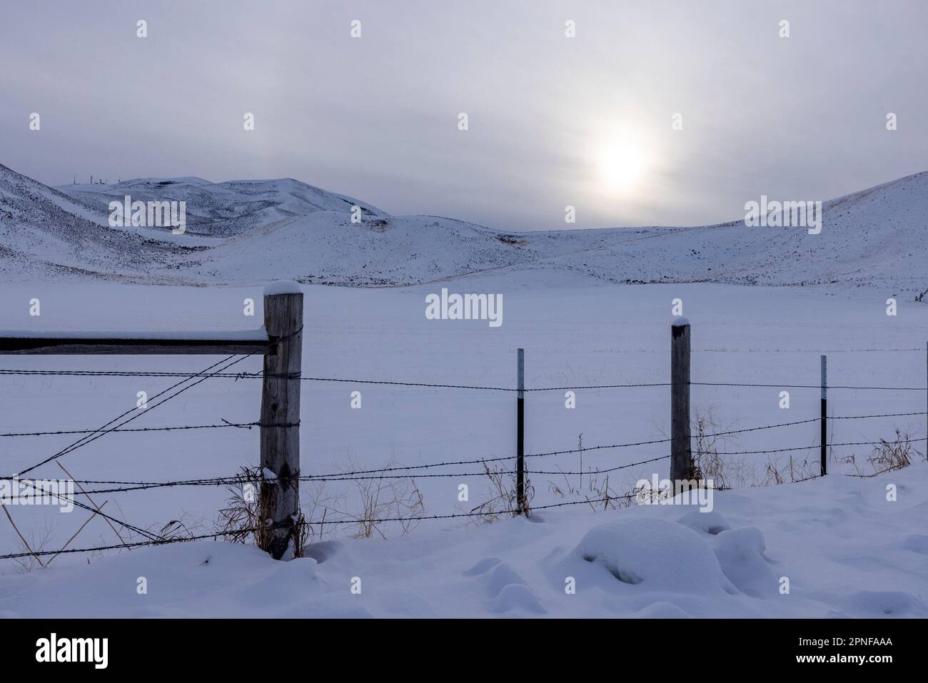 Stati Uniti, Idaho, Bellevue, neve coperta di terra rurale con recinzione Foto Stock