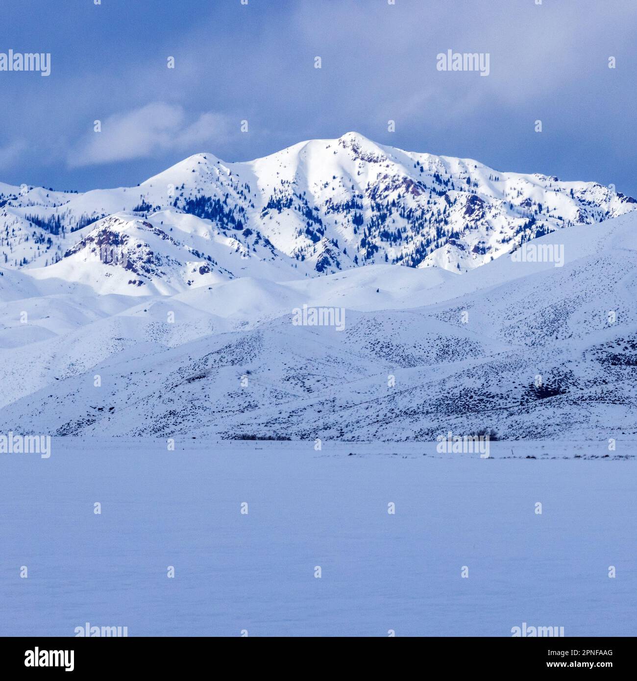 Stati Uniti, Idaho, Fairfield, Snowy montagna paesaggio in inverno Foto Stock