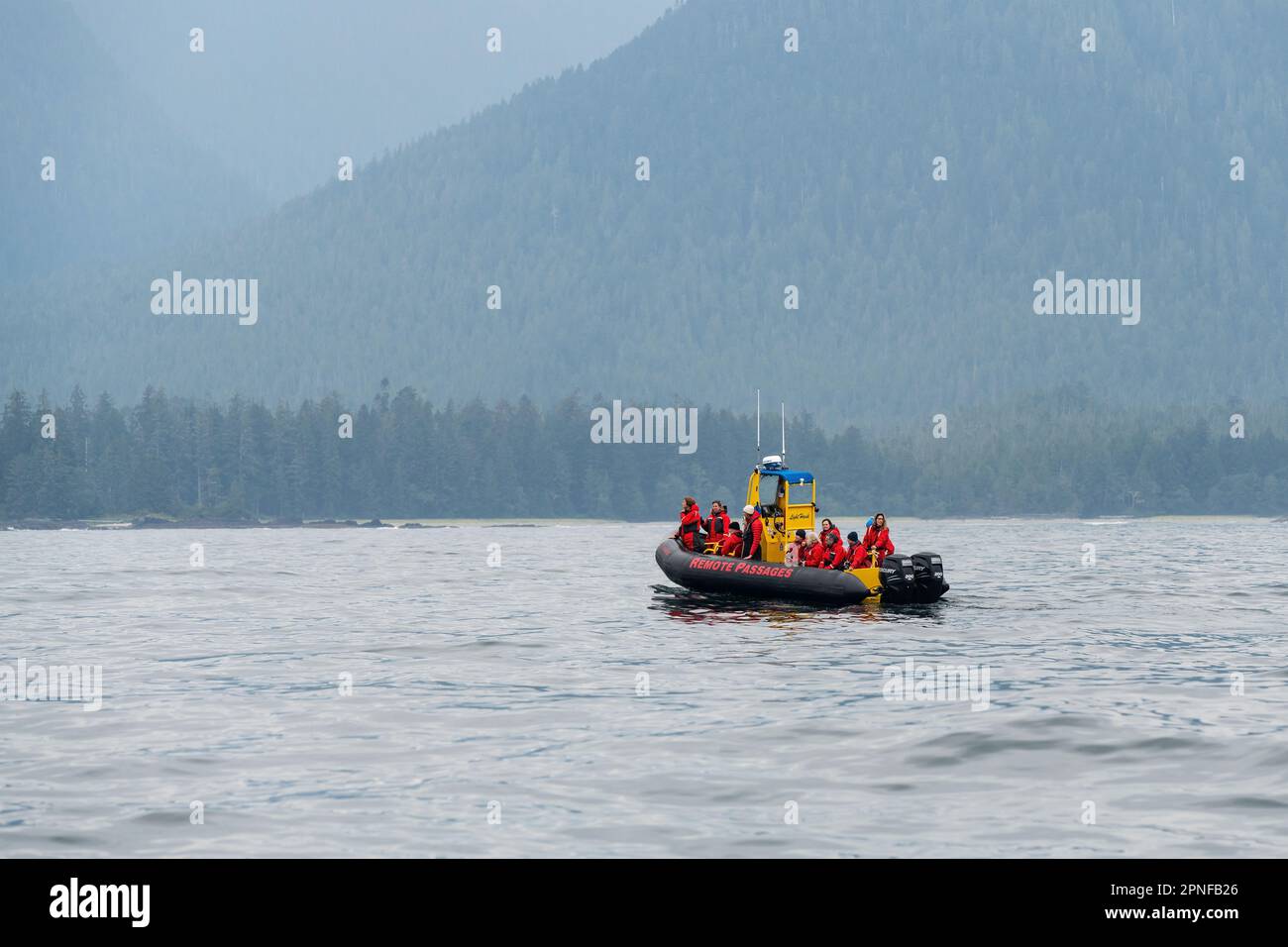 Gommone rigido con scafo e turisti in tour di avvistamento delle balene al largo della costa di Vancouver Island, British Columbia, Canada. Foto Stock