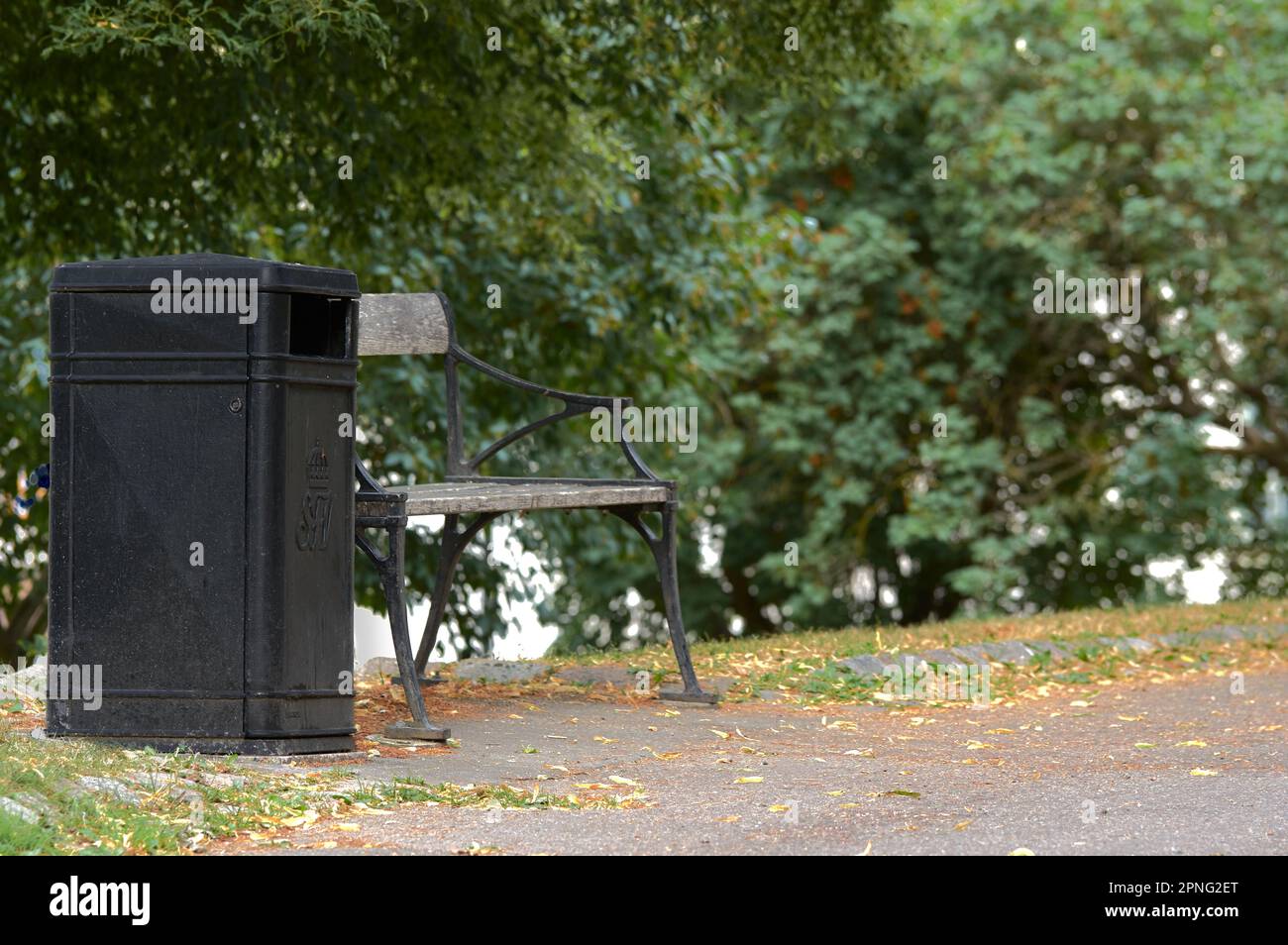 Una panca vuota e un cestino in un luogo tranquillo perfetto per un po 'di riposo di fronte agli alberi con verde fogliame in un parco. Foto Stock