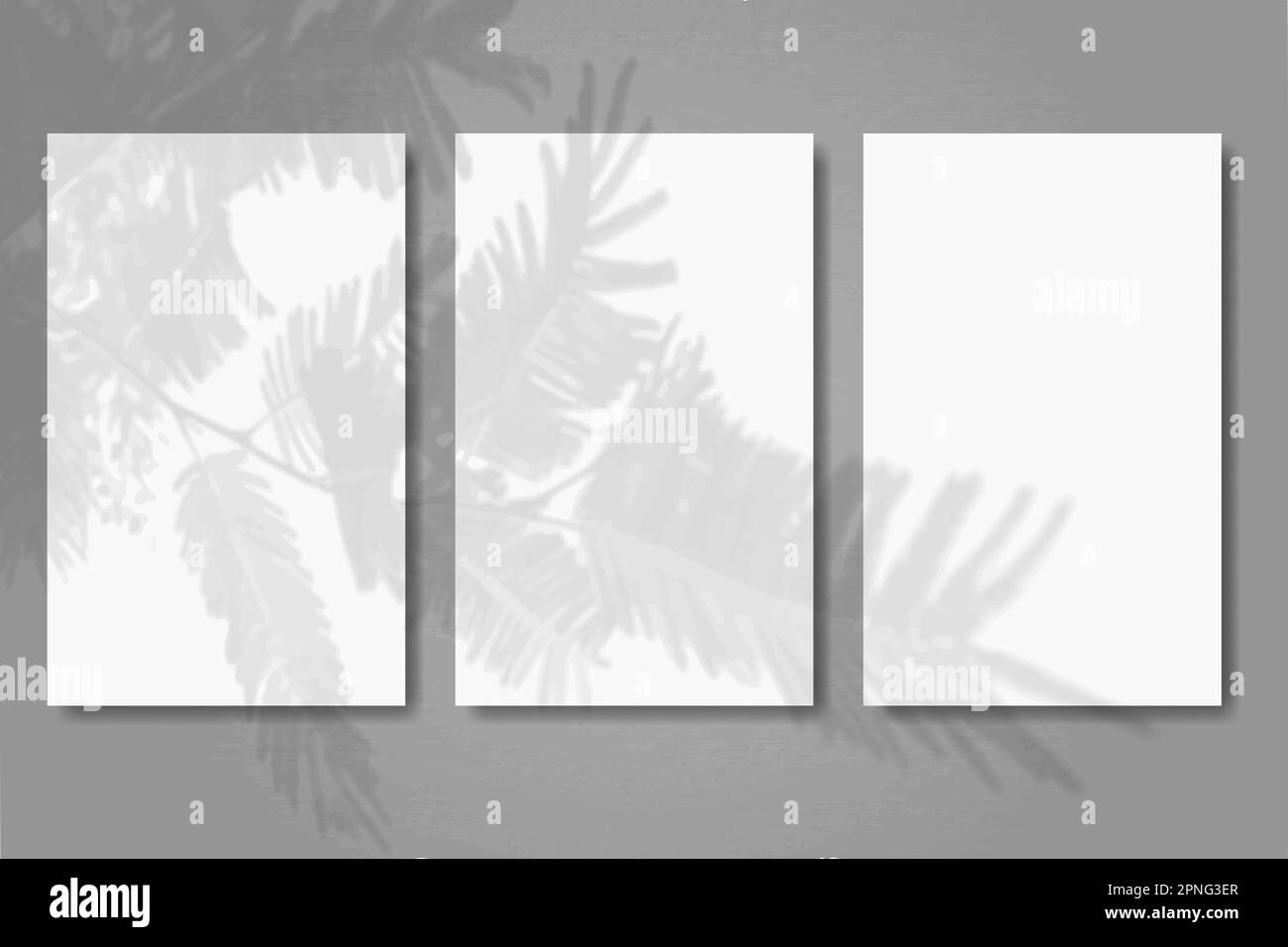 3 fogli verticali di carta bianca testurizzata su sfondo grigio del tavolo. Rimani in forma con una sovrapposizione di ombre di piante. La luce naturale proietta ombre dalla tui Illustrazione Vettoriale