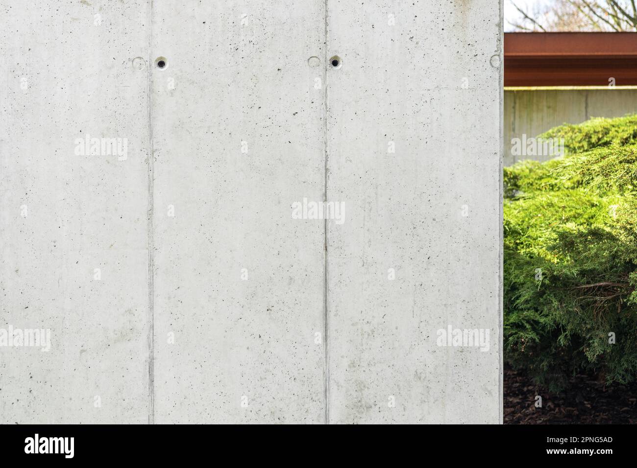 Cassaforma architettonica calcestruzzo. Cemento, parete grigia con fori visibili per cassaforma. Cespugli verdi sullo sfondo Foto Stock