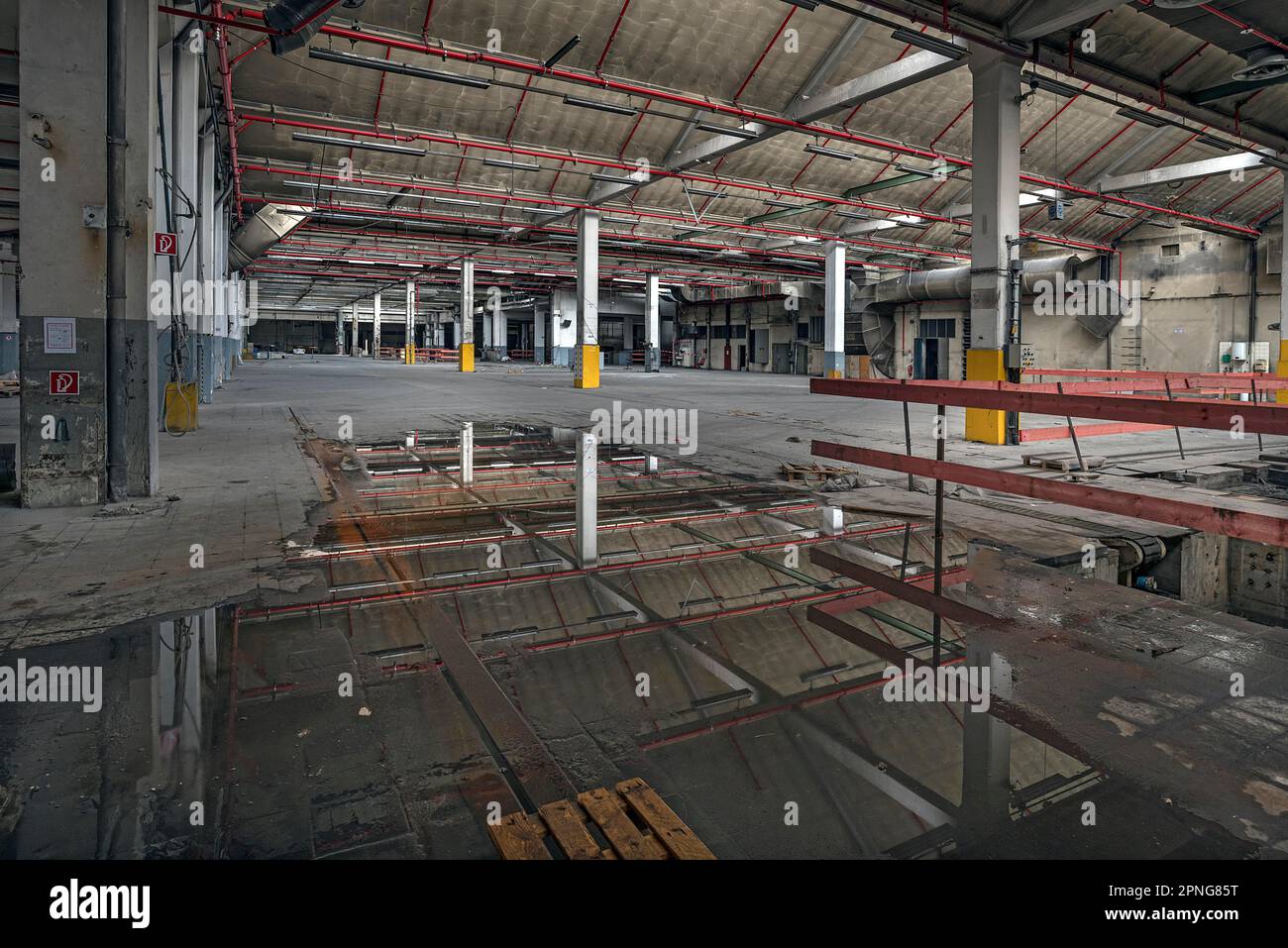 Sala di produzione vuota con pozza d'acqua sul pavimento, ex fabbrica di carta, Lost Place, Baden-Wuerttemberg, Germania Foto Stock