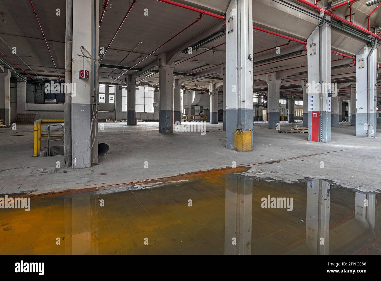 Sala di produzione vuota con pozza d'acqua sul pavimento, ex fabbrica di carta, Lost Place, Baden-Wuerttemberg, Germania Foto Stock