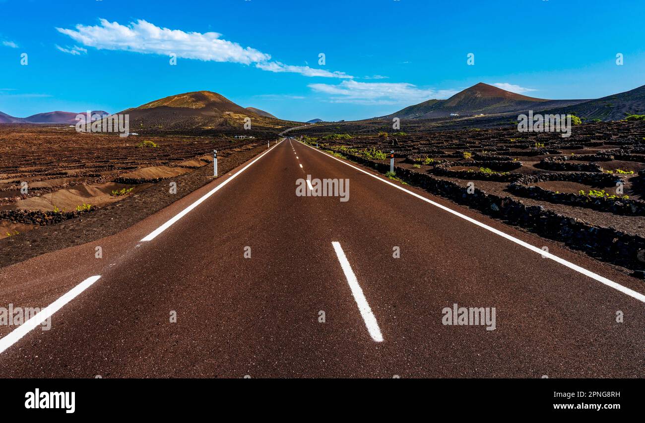 Strada di campagna tra paesaggio vulcanico, Lanzarote, Isole Canarie, Spagna Foto Stock