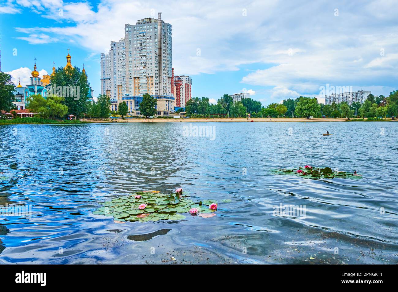 Il lago di Telbyn increspato con diverse specie di ninfee in fiore di fronte alla riva con case residenziali e chiesa ortodossa, Kyiv, Foto Stock