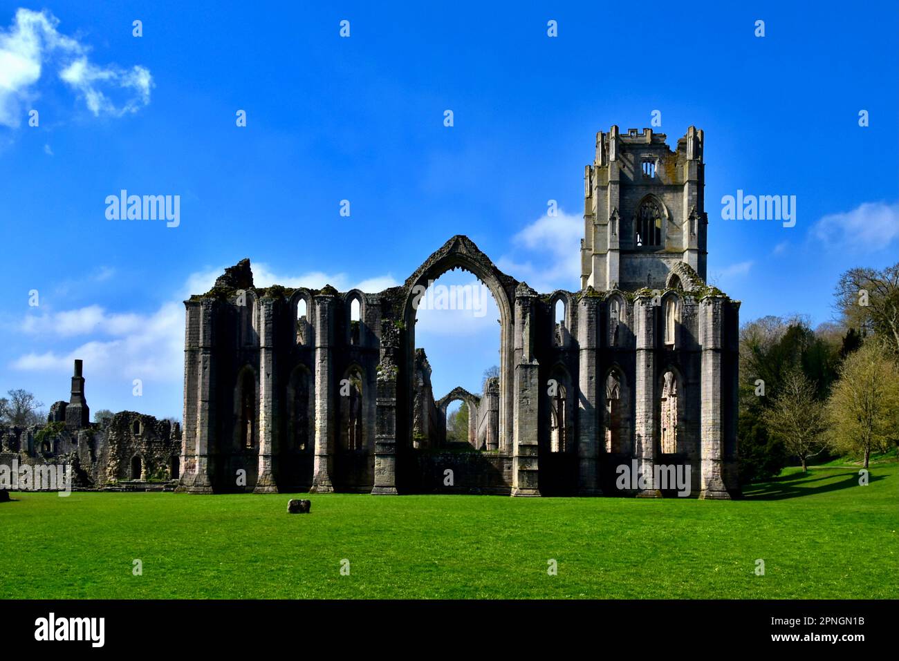 Le rovine di Fontana Abbey. Foto Stock