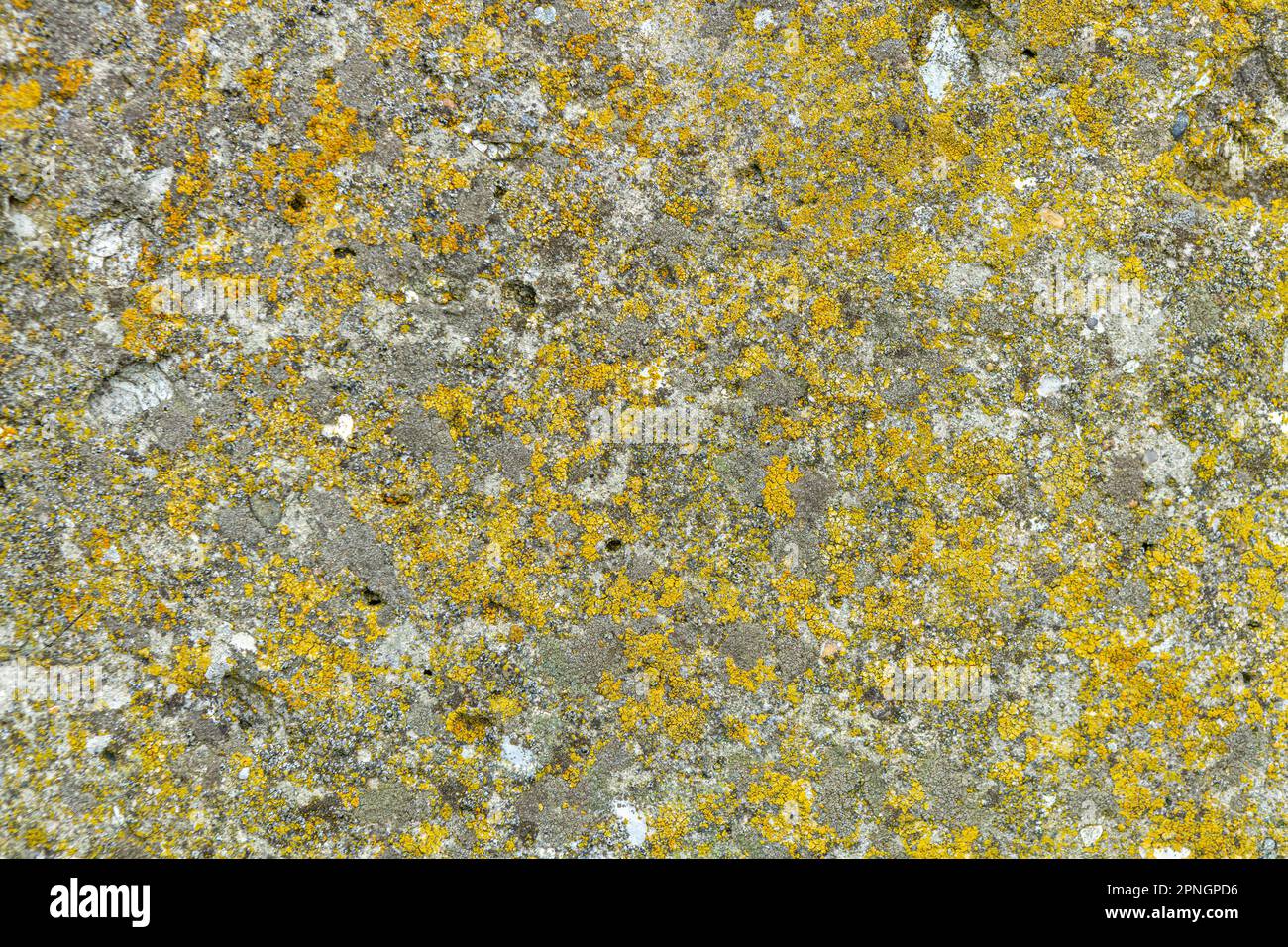 Vecchia struttura in cemento, sfondo per il design Foto Stock