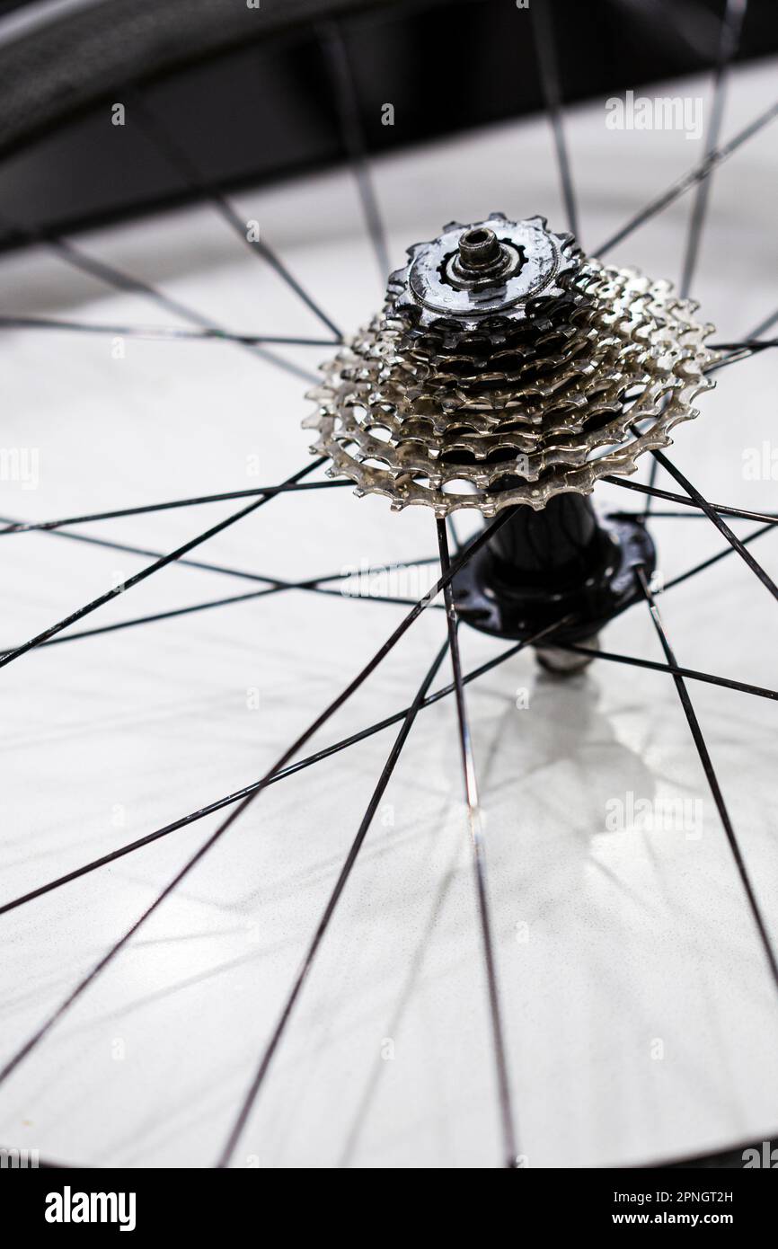 Ruota posteriore a denti bombati con ingranaggi di velocità dettaglio della bicicletta con cerchi e raggi Foto Stock