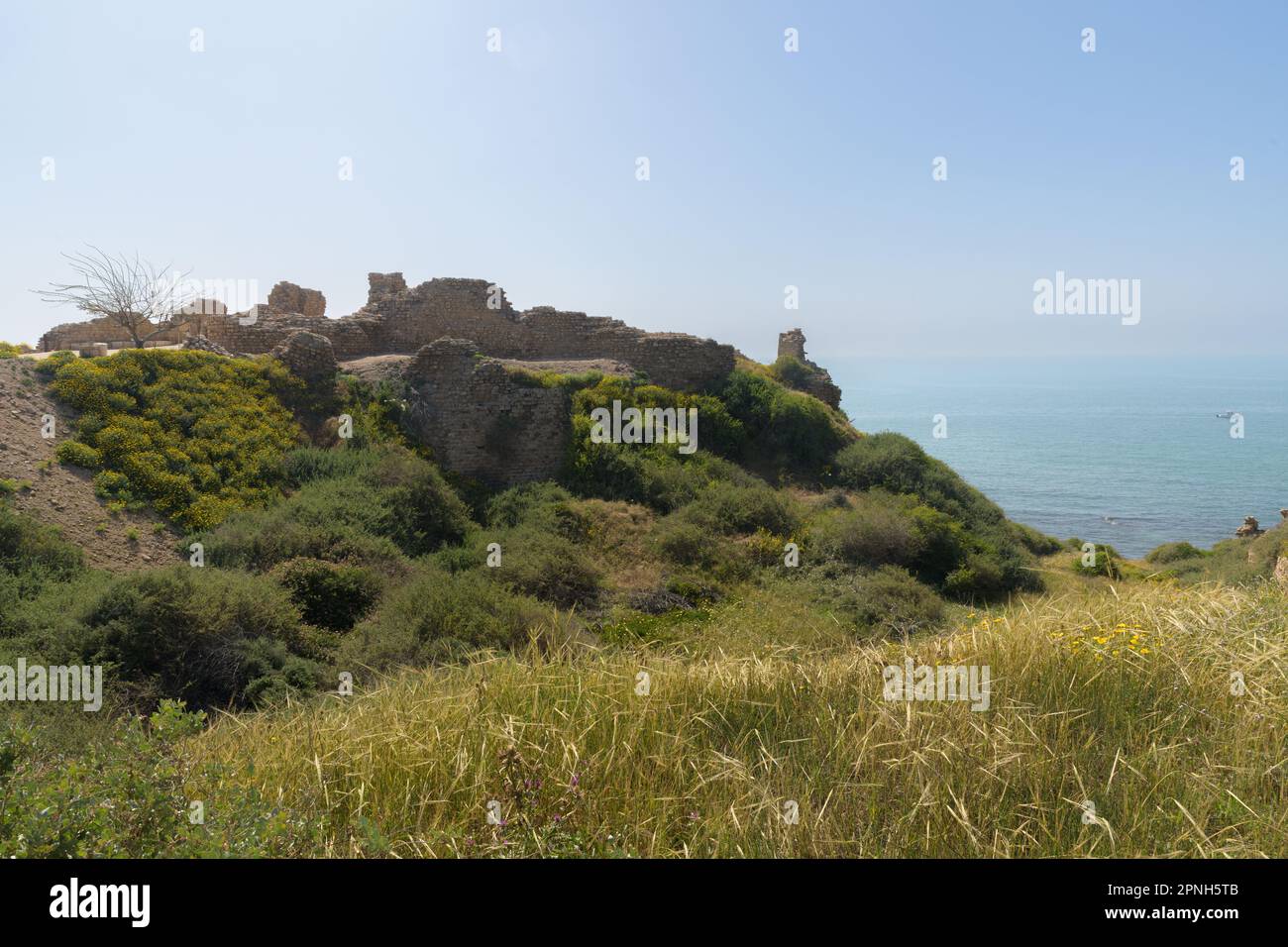 Resti del castello crociato nell'antica città di Apollonia (Tel Arsuf) sulla riva mediterranea della città di Herzliya, Parco Nazionale di Apollonia, Hasha Foto Stock