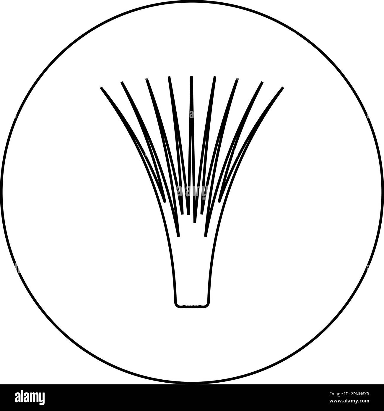 Erba commestibile lemongrass Cymbopogon citratus spezie vegetali pianta vegetale icona in cerchio rotondo nero colore vettore illustrazione immagine contorno Illustrazione Vettoriale