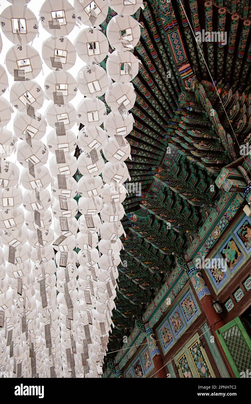 Preparandosi per il compleanno di Buddha con lanterne colorate al Tempio di Jogyesa, Seoul, Corea del Sud Foto Stock