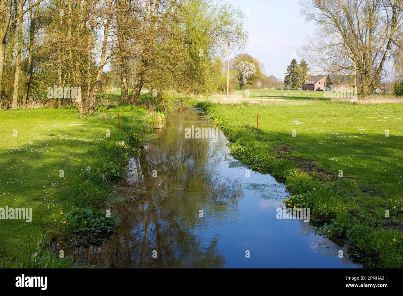 Paesaggio rurale tedesco, Issum, Regione del basso Reno, Germania Foto Stock