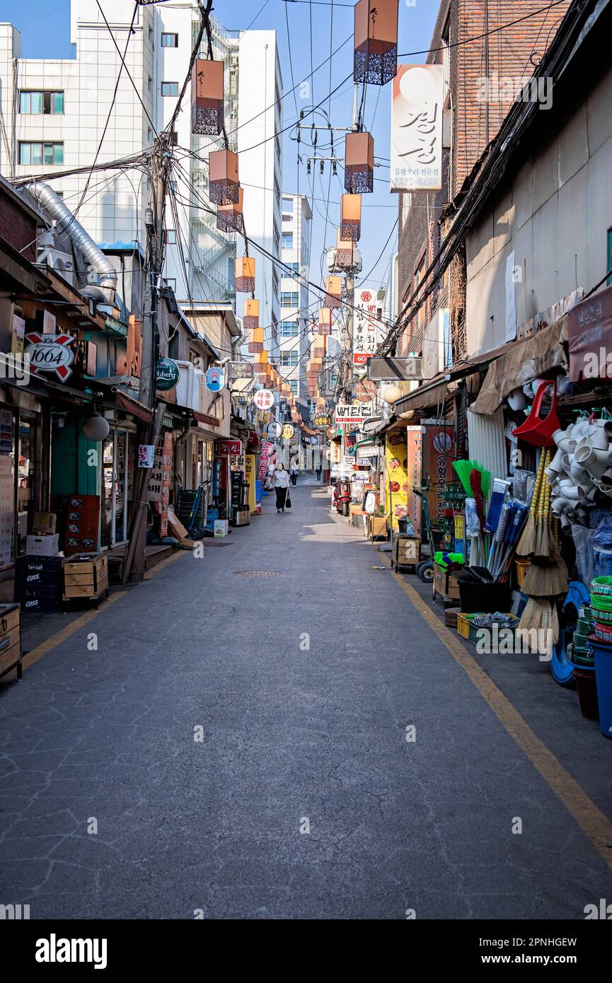 Sejong cibo strada, Seoul Foto Stock