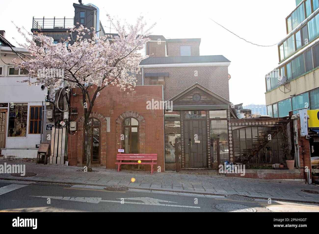 Seoul Street scena Cherry Blossom Foto Stock