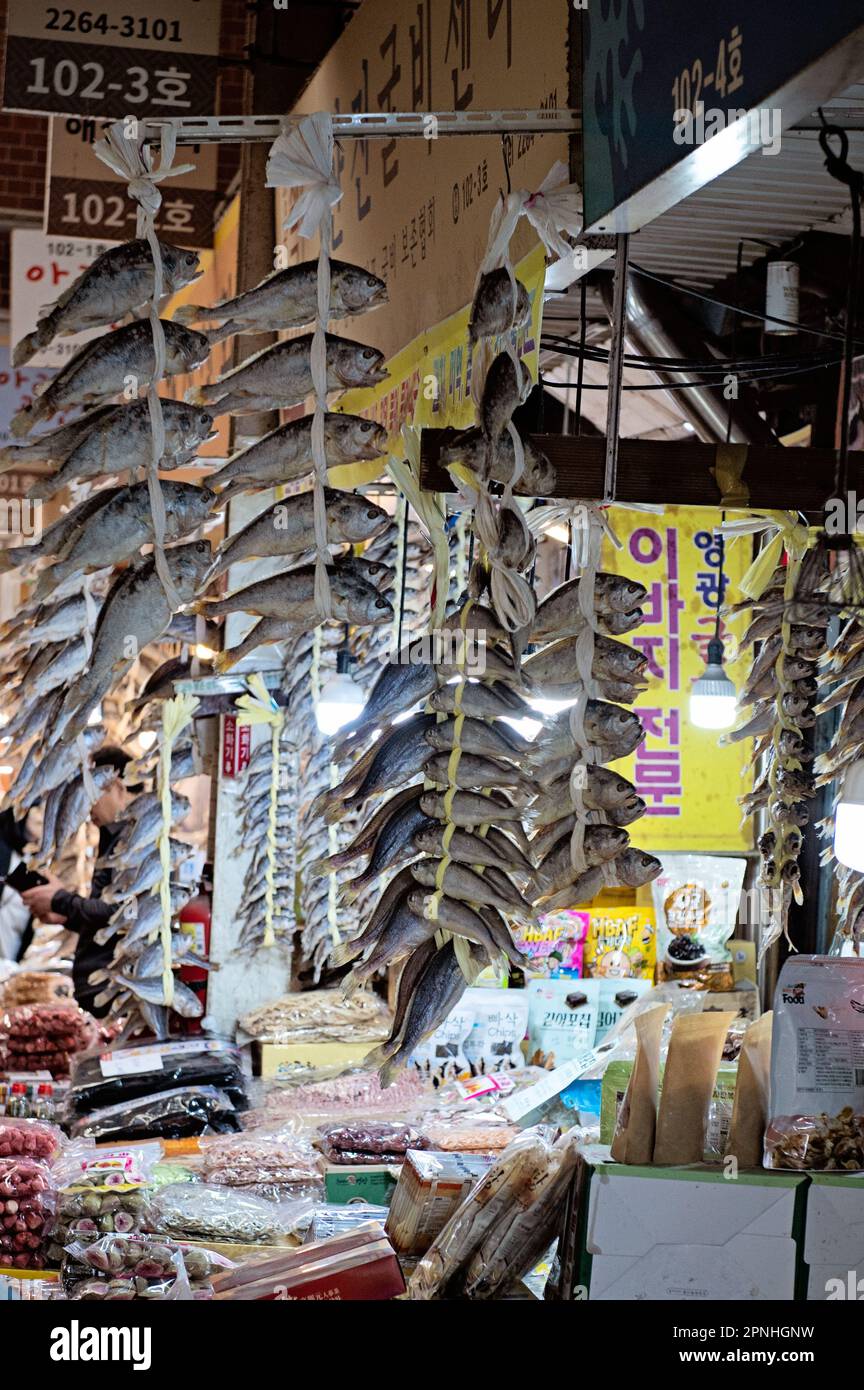 Pesce essiccato appeso in vendita al mercato di Gwangjang Seoul Foto Stock