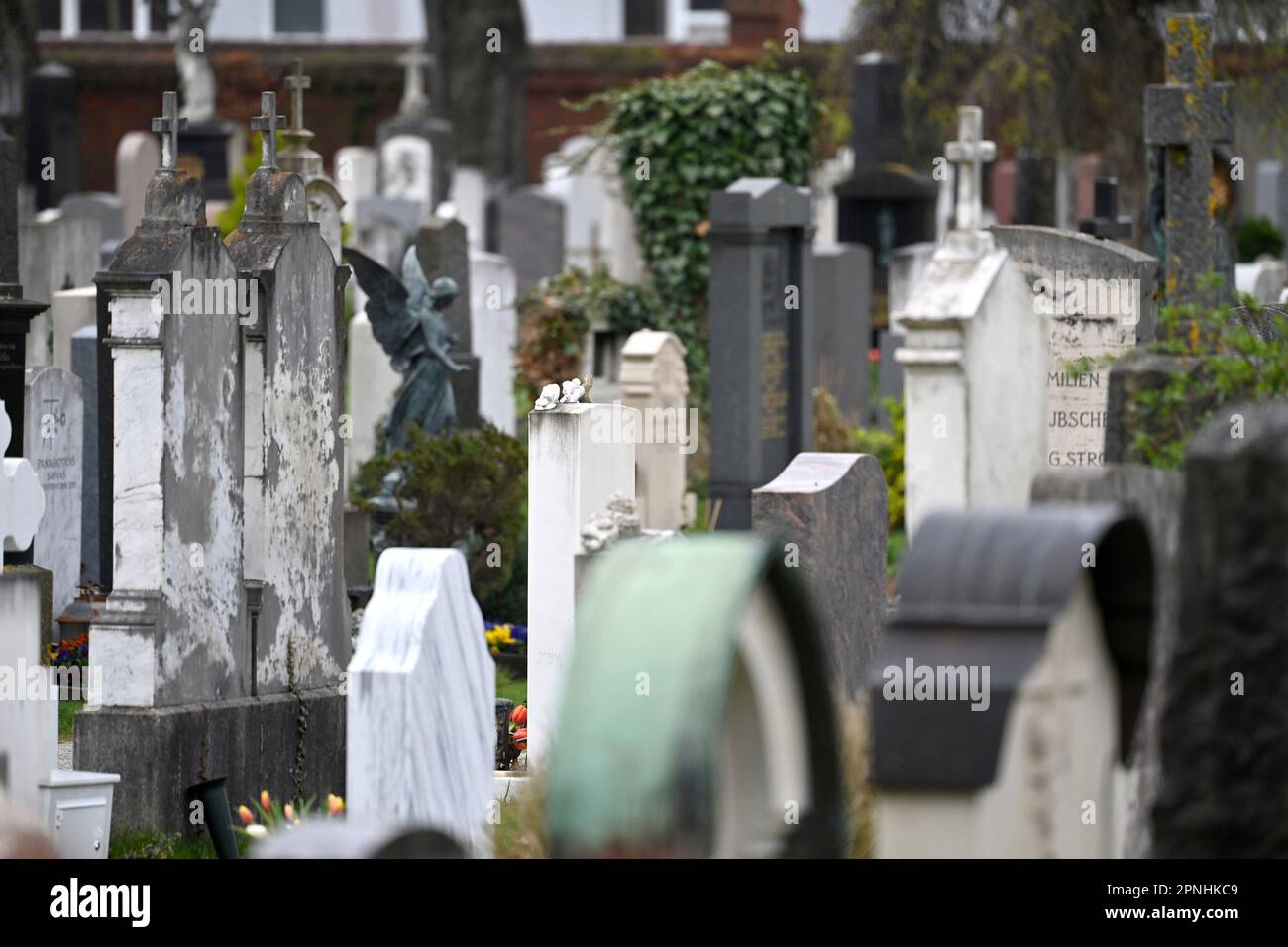 Monaco, Germania. 19th Apr, 2023. Tombe nel cimitero nord di Monaco. ? Credit: dpa/Alamy Live News Foto Stock
