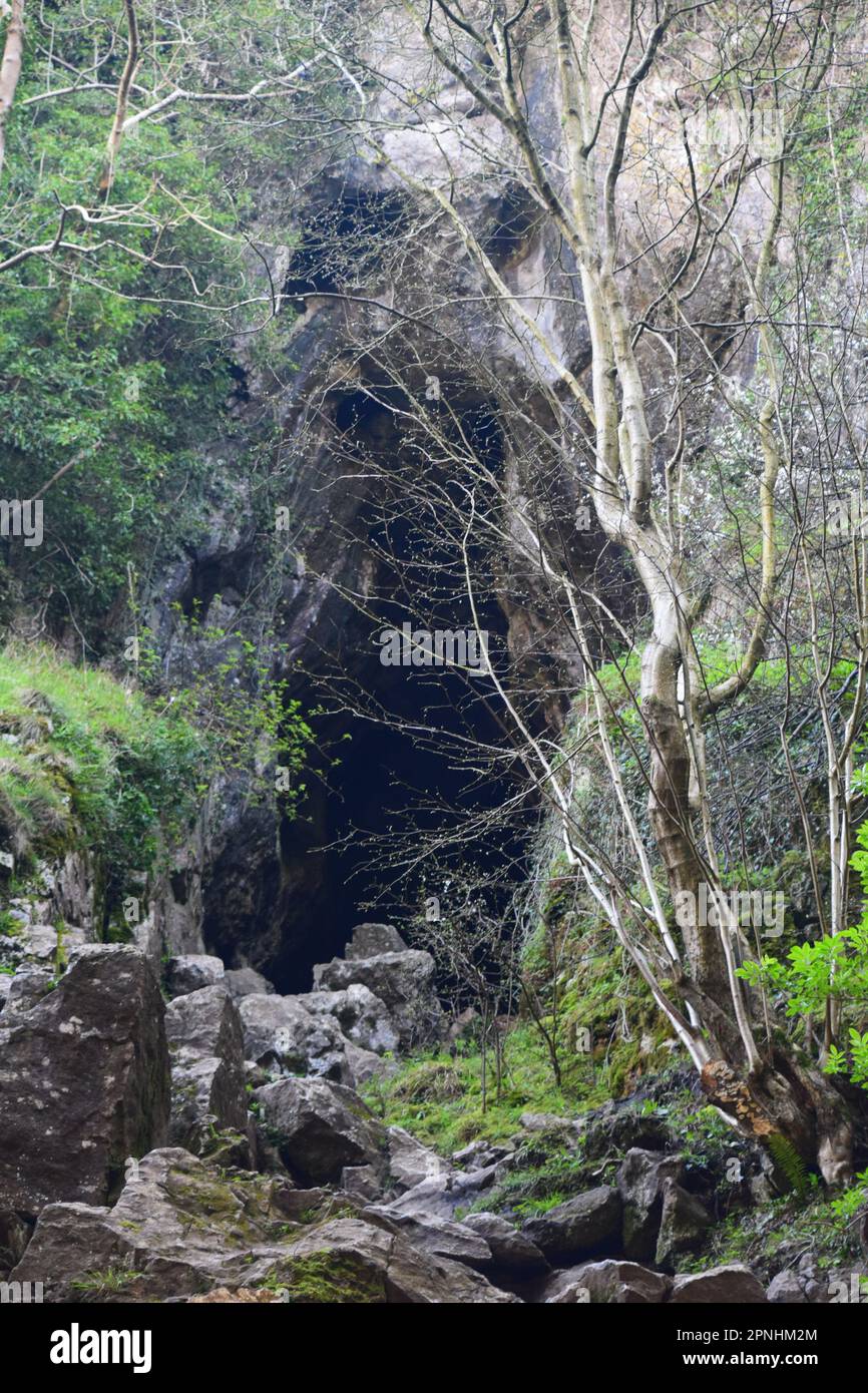 Spettacolari formazioni rocciose calcaree a Dovedale formano incredibili grotte. Formata da calcare della barriera corallina del periodo carbonifero e acqua di fusione glaciale Foto Stock