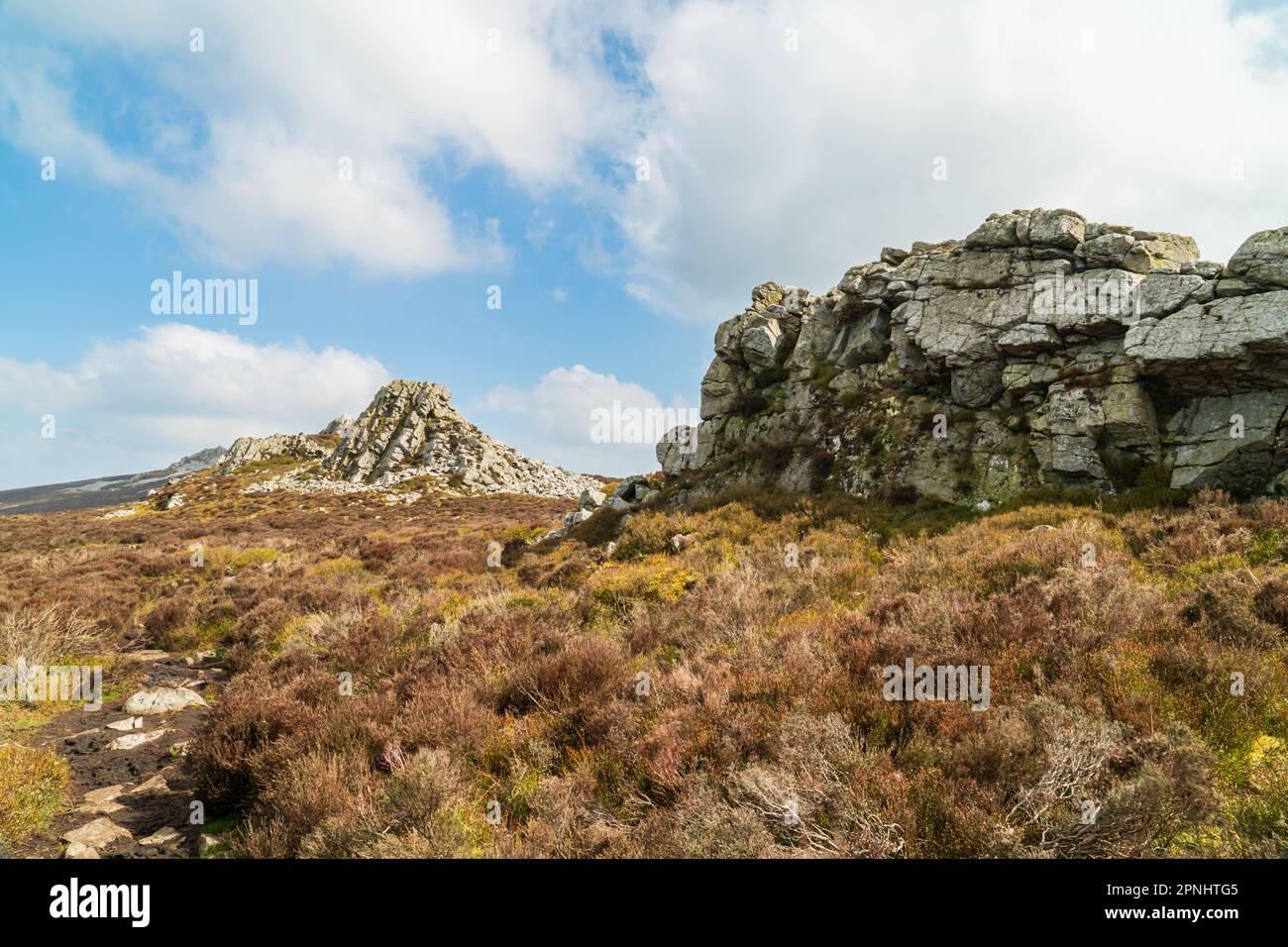 Una vista delle rocce nella riserva naturale di Stipperstones a Shropshire, Regno Unito. Una cresta di Quartzite creata durante l'ultima era glaciale 480 milioni di anni fa Foto Stock