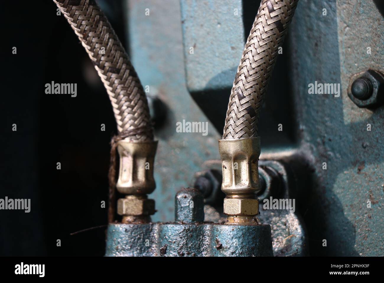 Filtro del carburante del motore diesel con tubi flessibili del carburante che collegano il filtro Foto Stock