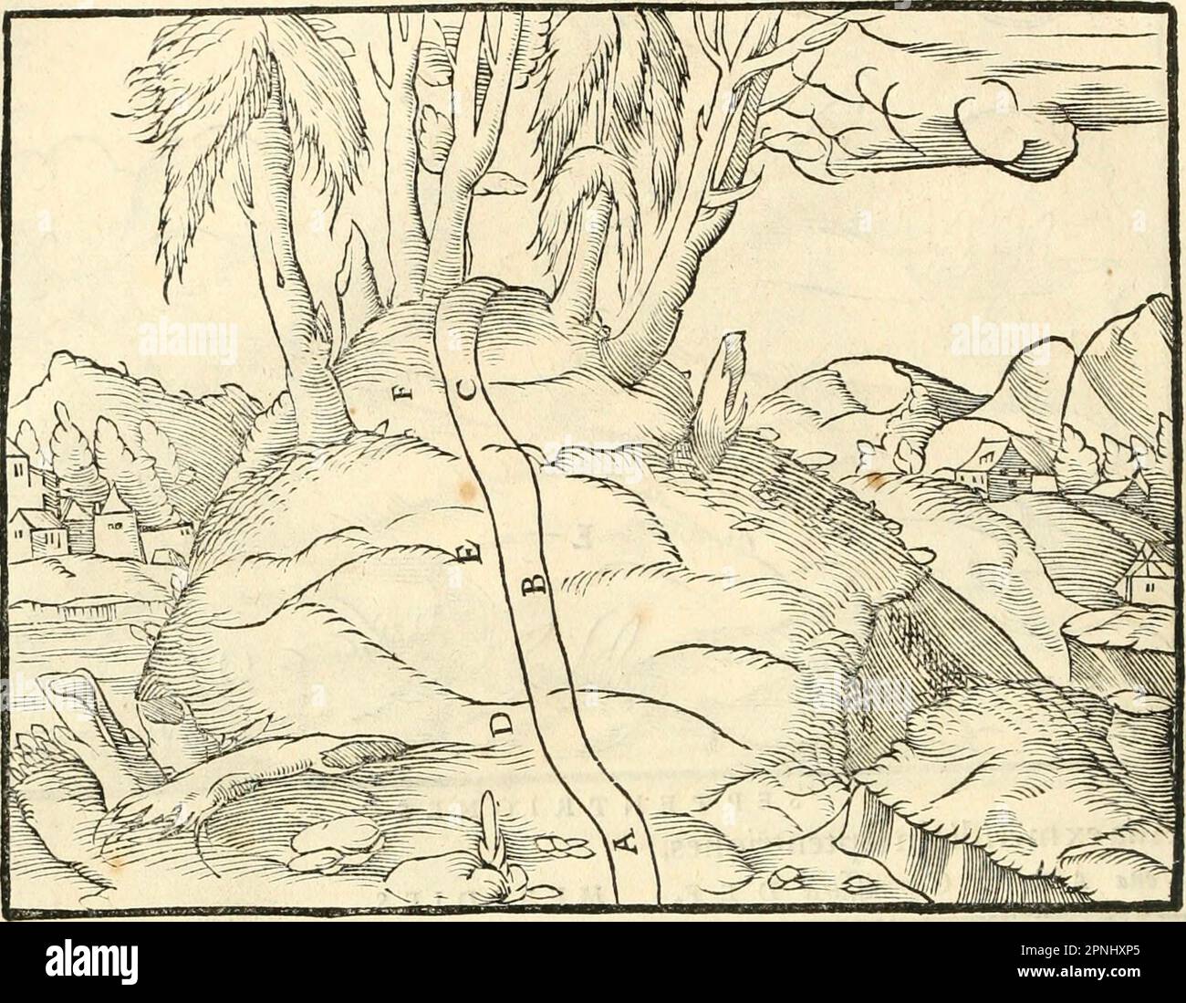 «Georgii agricole De re metallica libri XII. qvibus officia, strumenta, machinae, ac omnia deni ad metallicam spectantia, non modo lusulentissimè describuntur, sed & per effigies, suis locis insertas, adiunctis latinis, germanici Foto Stock