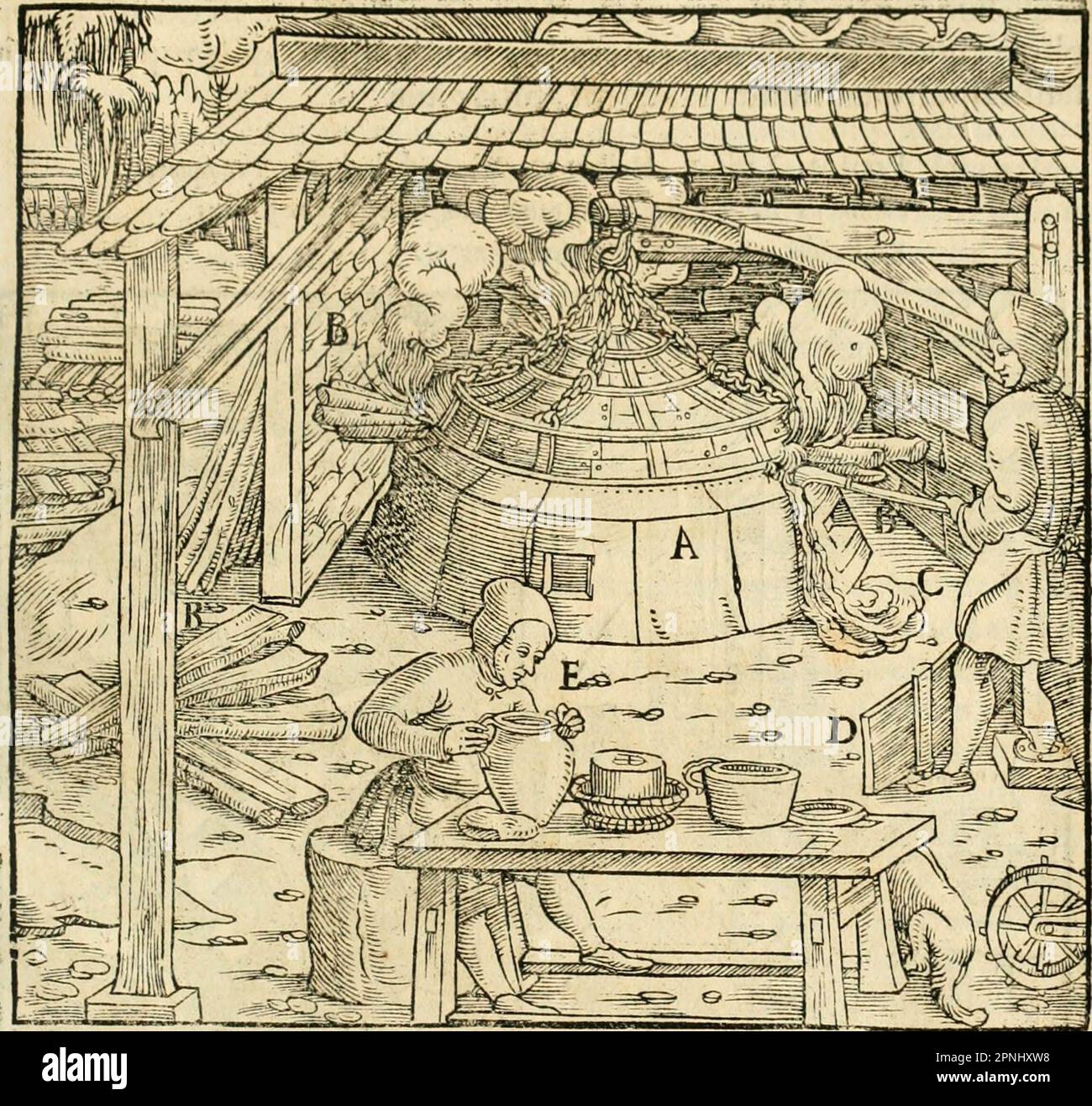 «Georgii agricole De re metallica libri XII. qvibus officia, strumenta, machinae, ac omnia deni ad metallicam spectantia, non modo lusulentissimè describuntur, sed & per effigies, suis locis insertas, adiunctis latinis, germanici Foto Stock