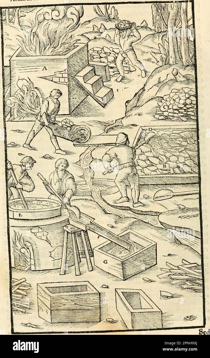 «Georgii agricole De re metallica libri XII. qvibus officia, strumenta, machinae, ac omnia deni ad metallicam spectantia, non modo lusulentissimè describuntur, sed & per effigies, suis locis insertas, adiunctis latinis, germanici Foto Stock