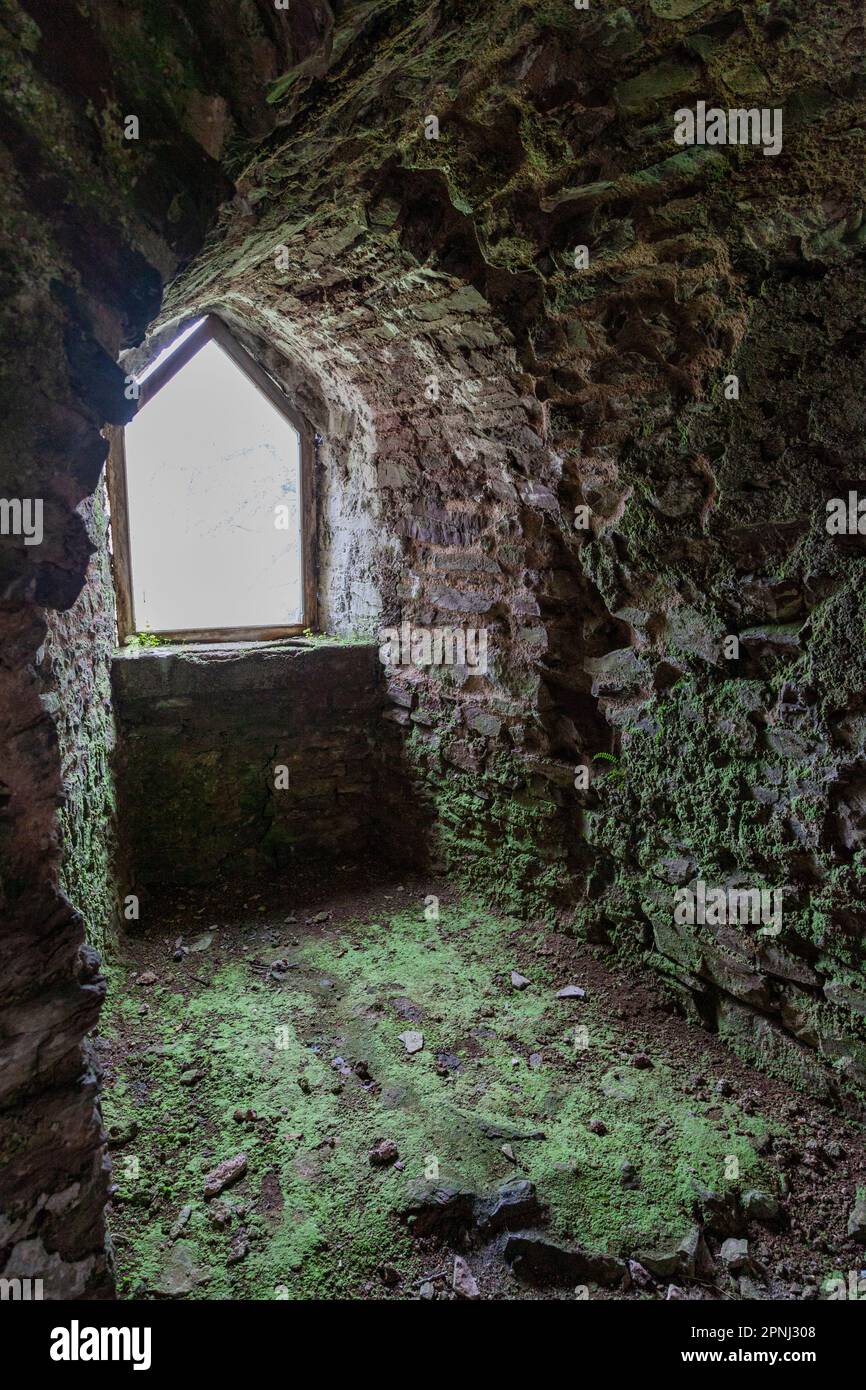 Laugharne Castle, Carmarthenshire, Wales, UK: Gestito e mantenuto da CADW. Interno - torre nord-ovest Foto Stock