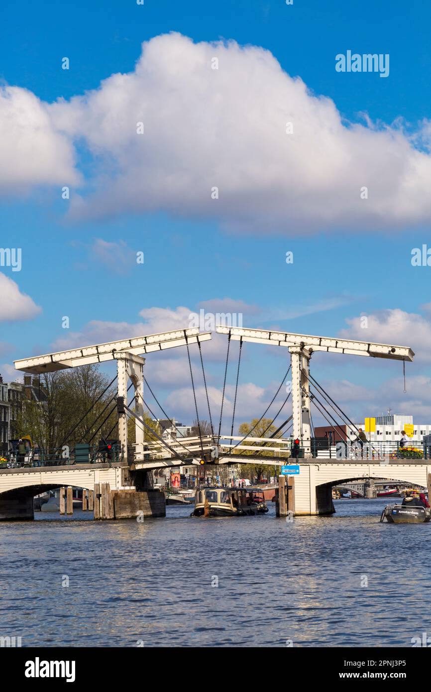 Skinny ponte, il Magere Brug, ad Amsterdam, Olanda, Paesi Bassi nel mese di aprile Foto Stock