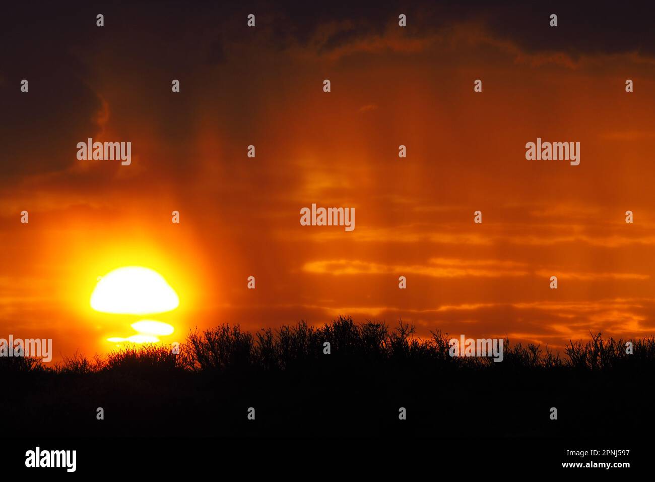 Tramonto piovoso nel Kalahari centrale, Botswana Foto Stock