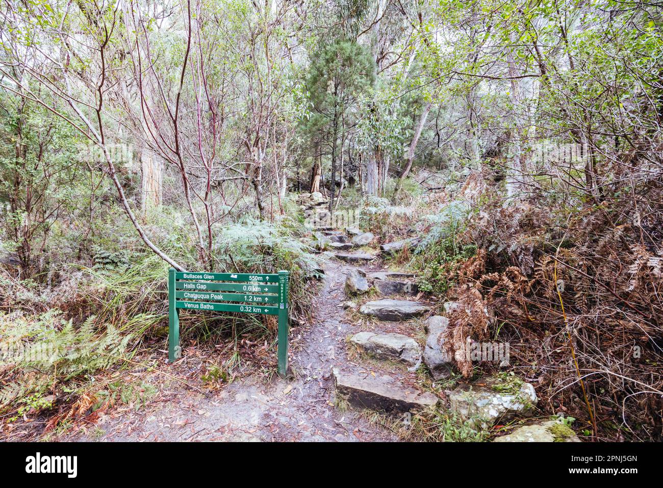 Chatauqua Peak Trail Grampians Australia Foto Stock