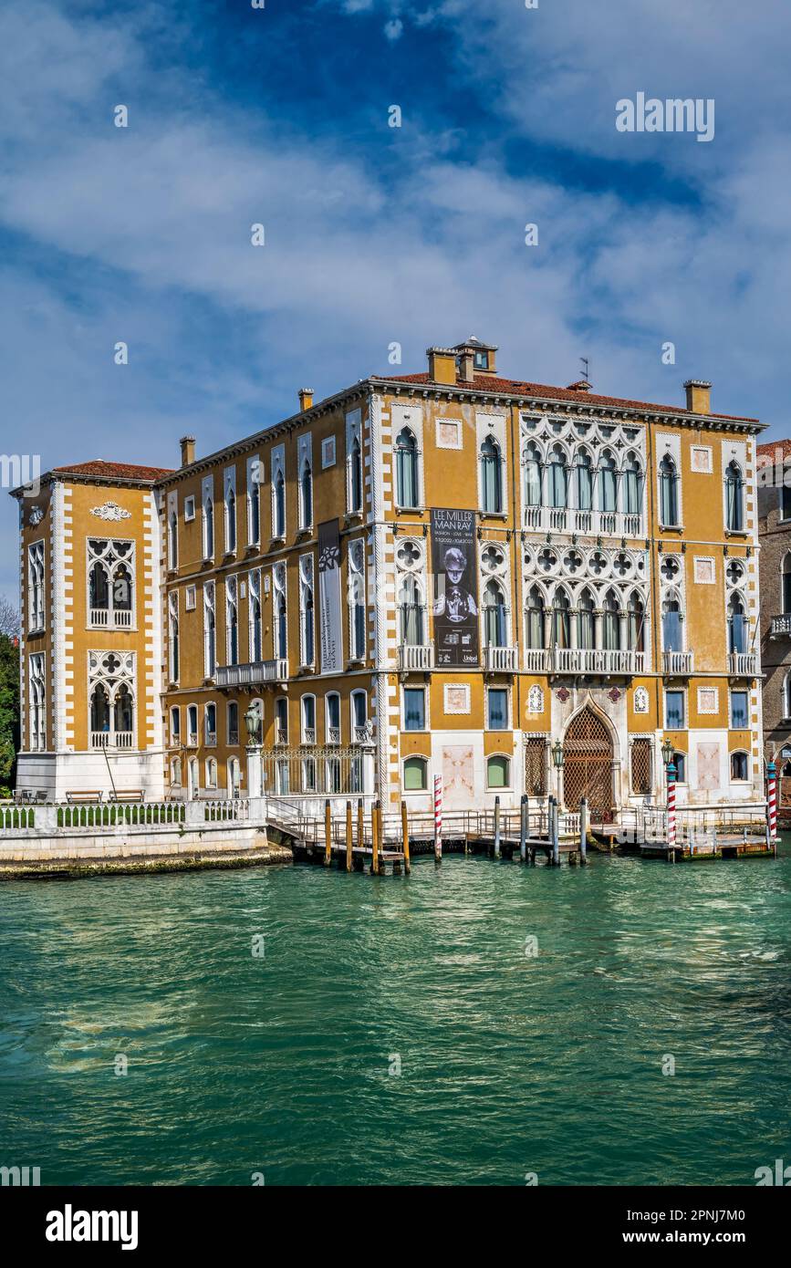 Palazzo cavalli-Franchetti, Canal Grande, Venezia, Veneto, Italia Foto Stock