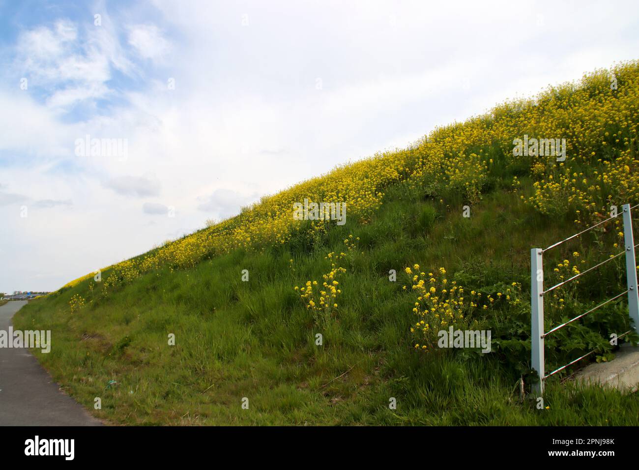 Prati e strade nella zona di Zuidplaspolder dove verrà costruito un nuovo villaggio nei Paesi Bassi Foto Stock