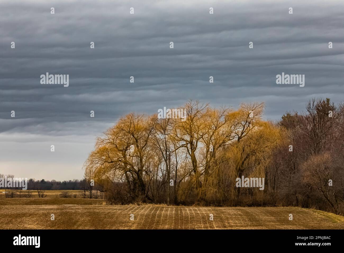 Le nuvole di stratocumuli sopra i terreni agricoli, Michigan centrale, Stati Uniti Foto Stock