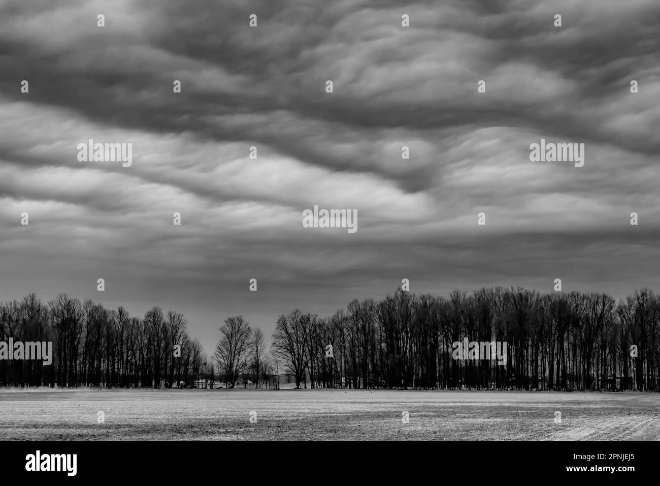 Le nuvole di stratocumuli su terreni agricoli e alberi, Michigan centrale, Stati Uniti Foto Stock