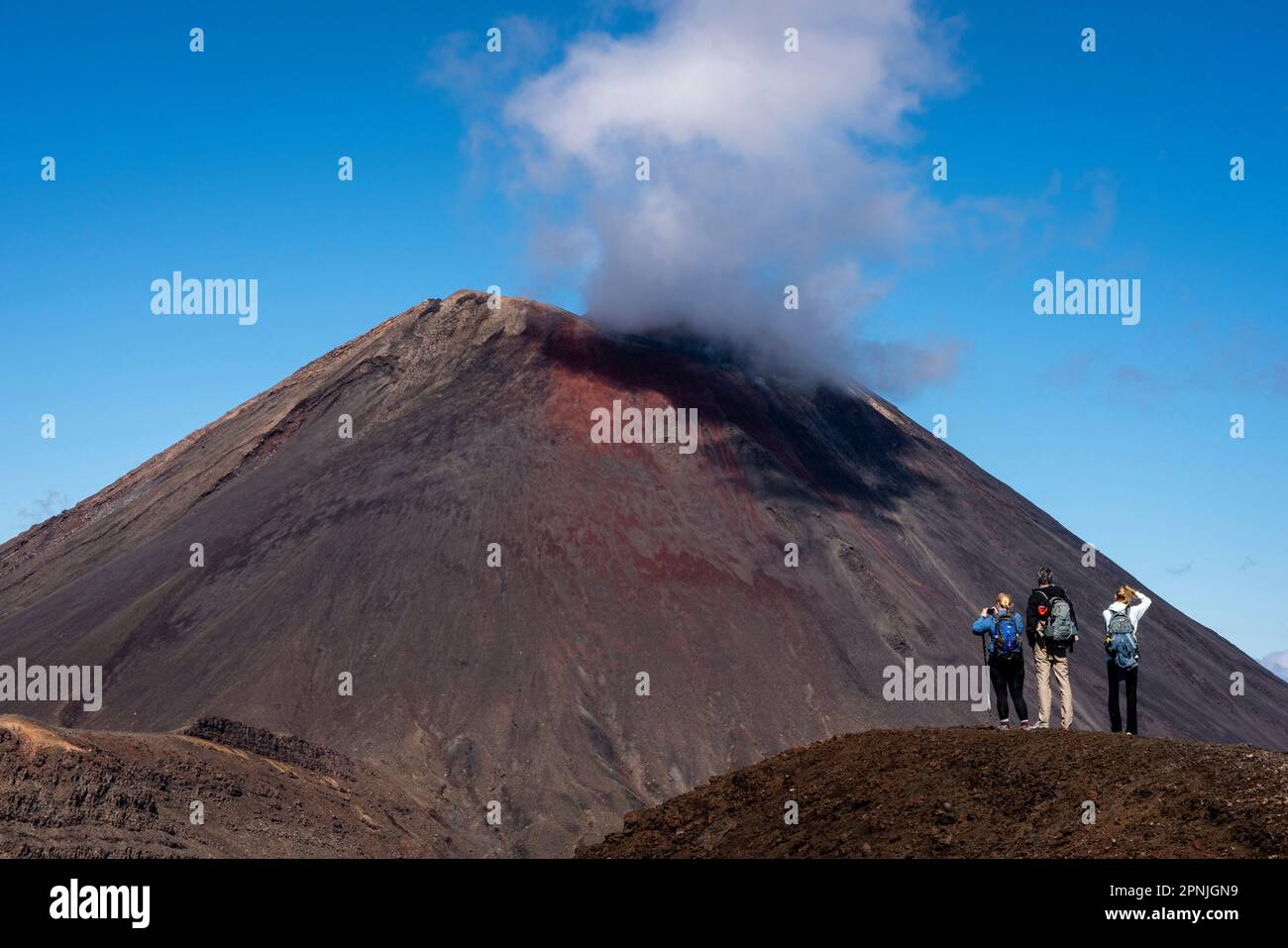 Una veduta del Monte Ngauruhoe sulla passeggiata di attraversamento Alpino di Tongariro, Parco Nazionale di Tongariro, Isola del Nord, Nuova Zelanda. Foto Stock