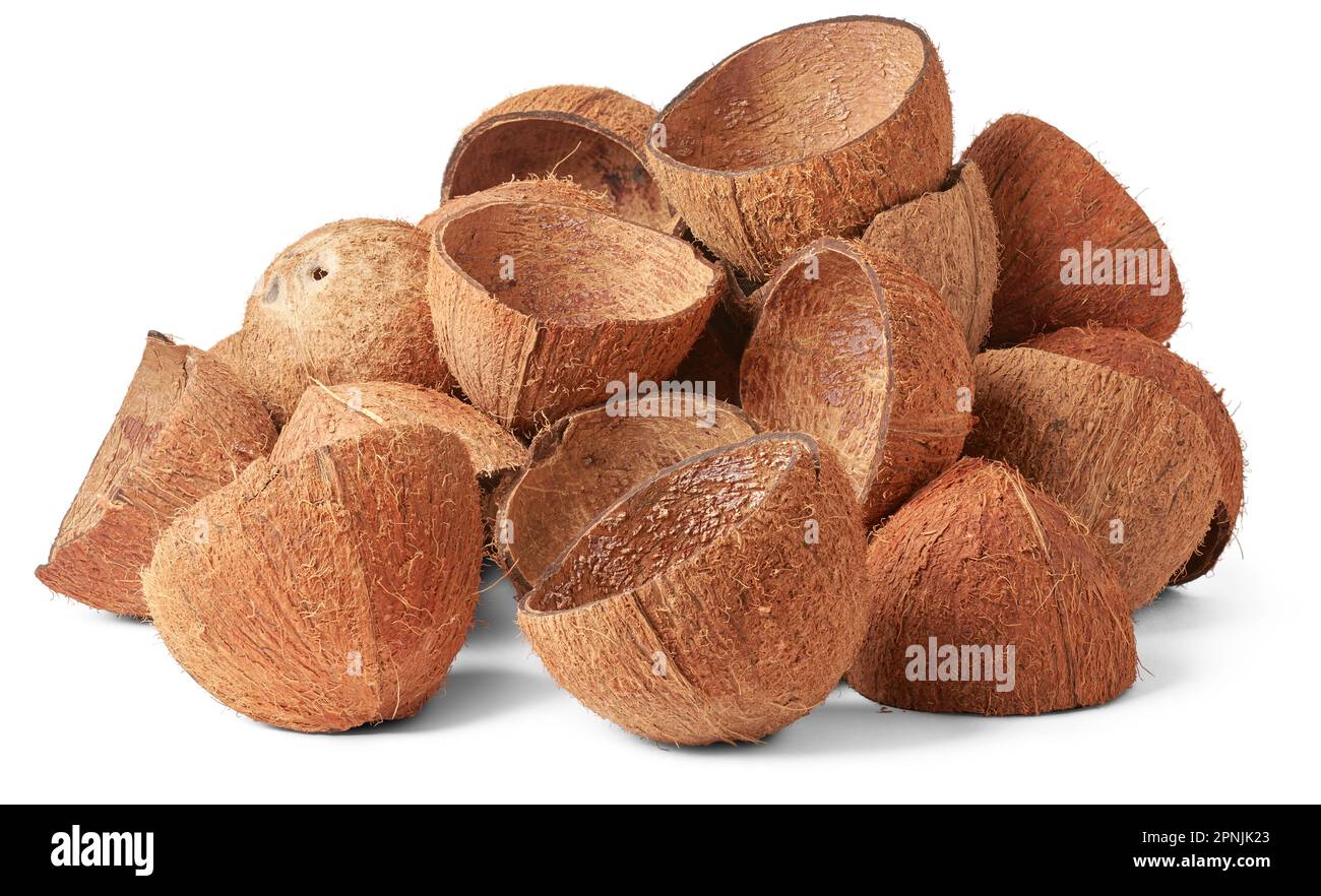 cumulo di guscio di frutta di cocco isolato su fondo bianco, materiale fibroso forte e durevole commercialmente importante, usato come fonte di combustibile Foto Stock