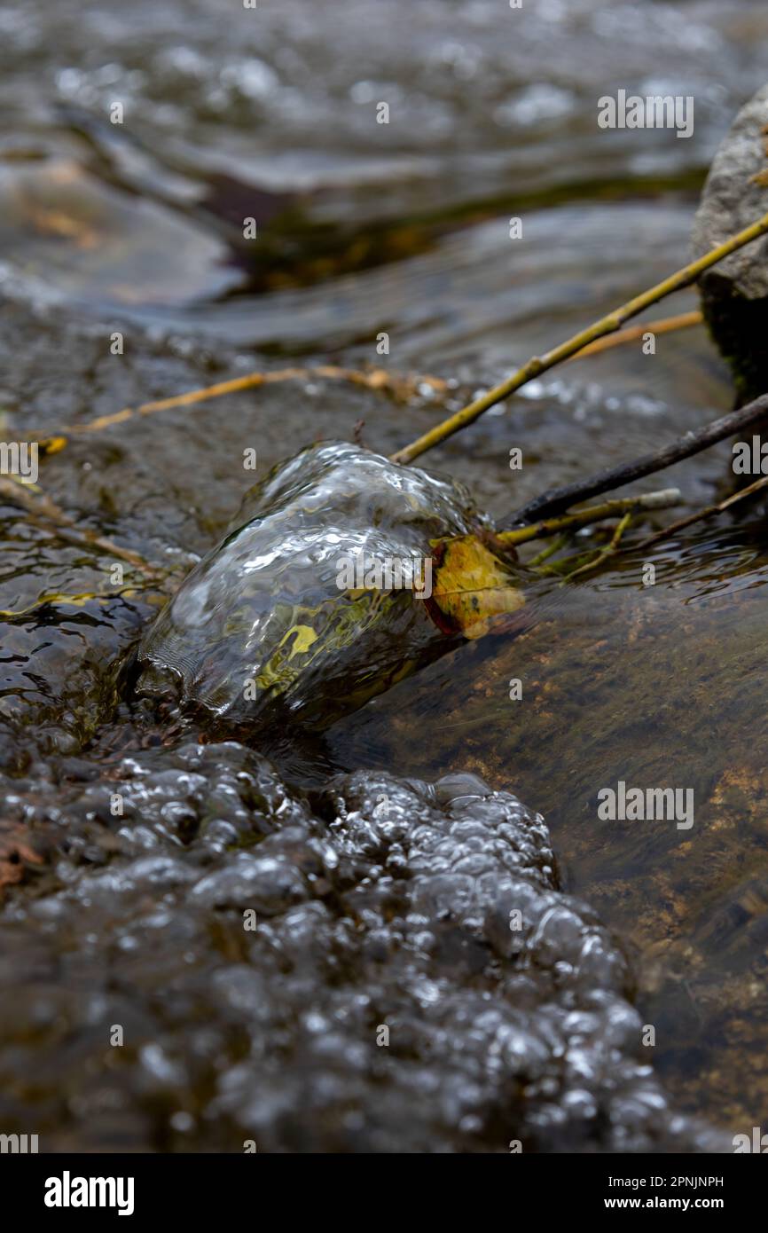 Una bottiglia di plastica scartata in un fiume, parzialmente sommersa dall'acqua in movimento Foto Stock