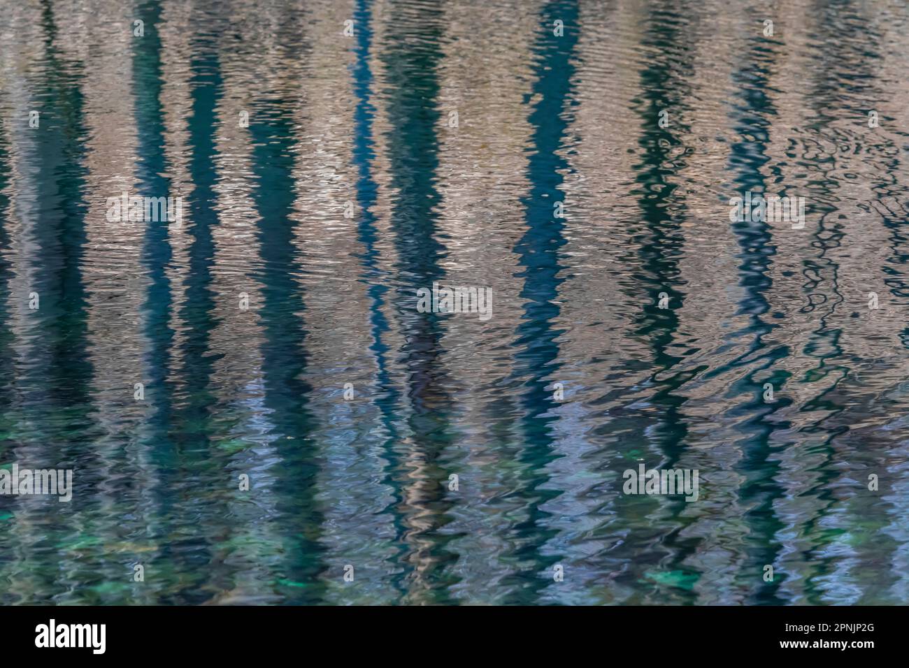 Forest riflessioni su uno stagno in laghi canadesi, Michigan, USA Foto Stock